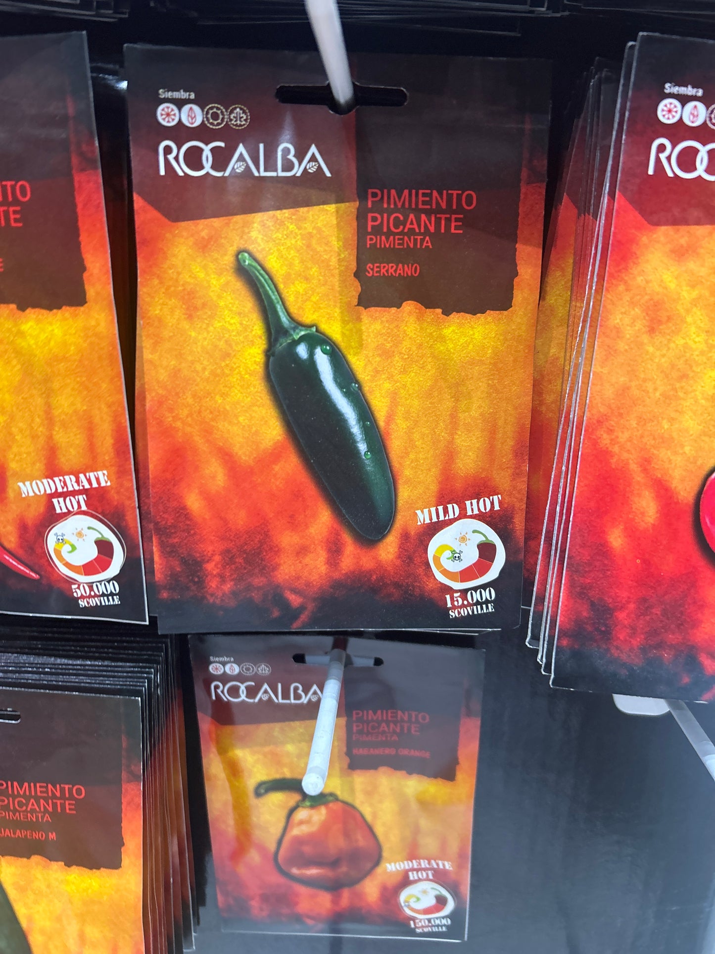 Chili paprika vetőmag Rocalba
