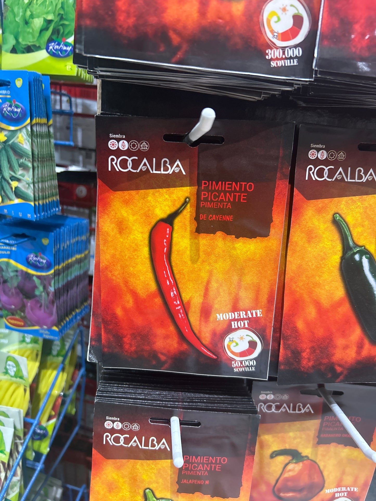 Chili paprika vetőmag Rocalba