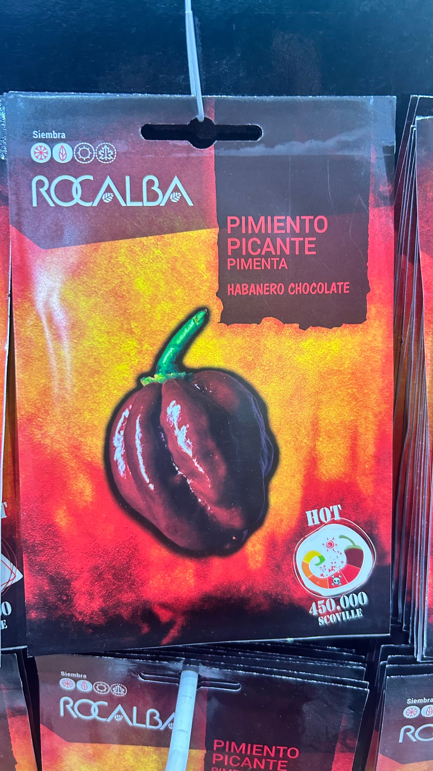 Chili paprika vetőmag Rocalba