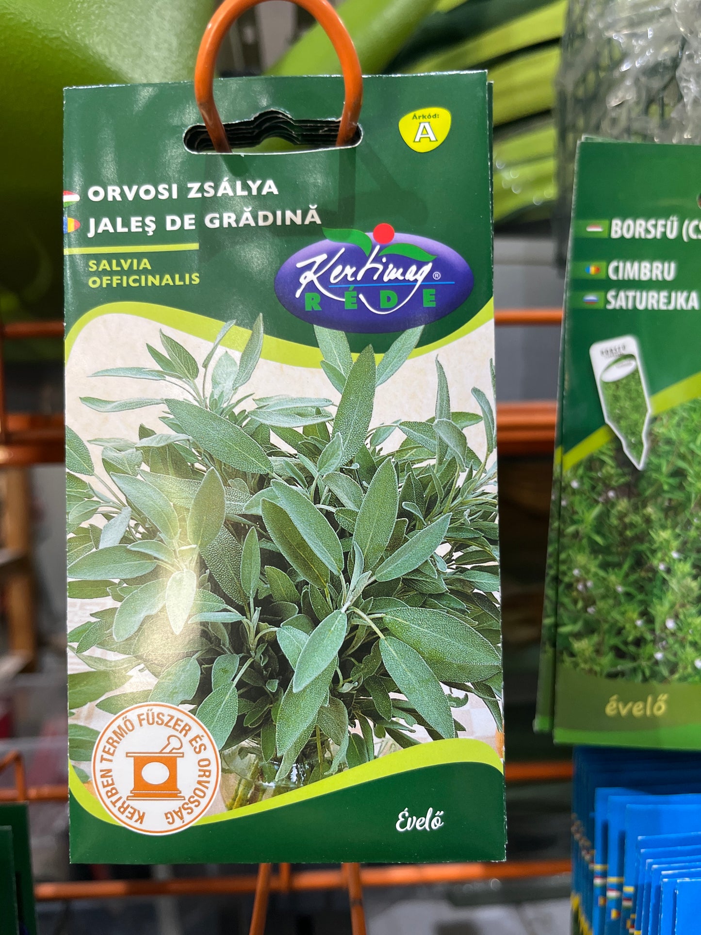 Vetőmag