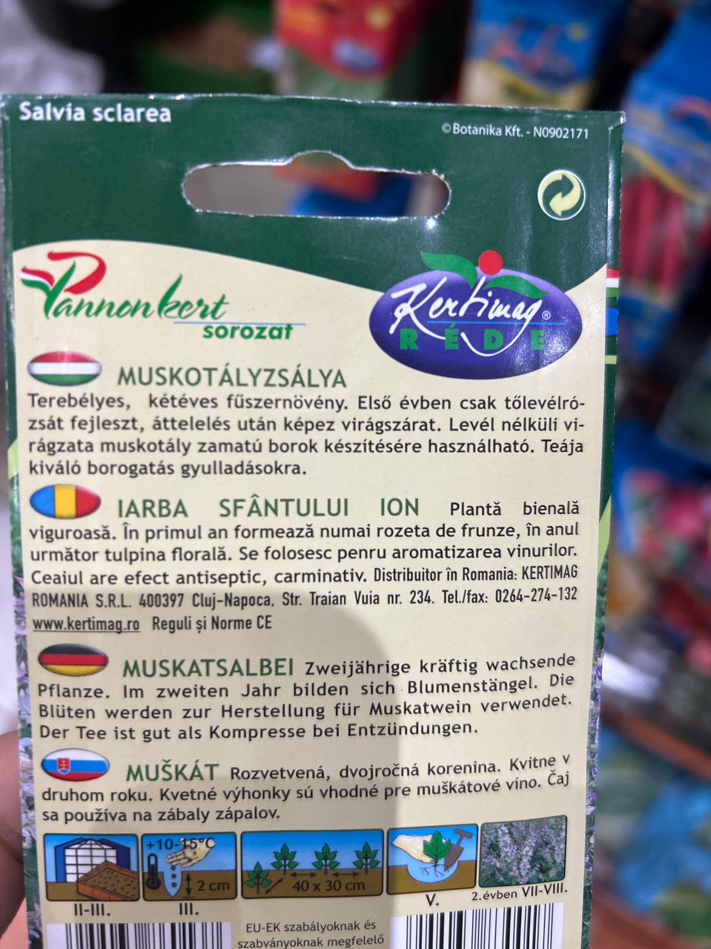 Vetőmag