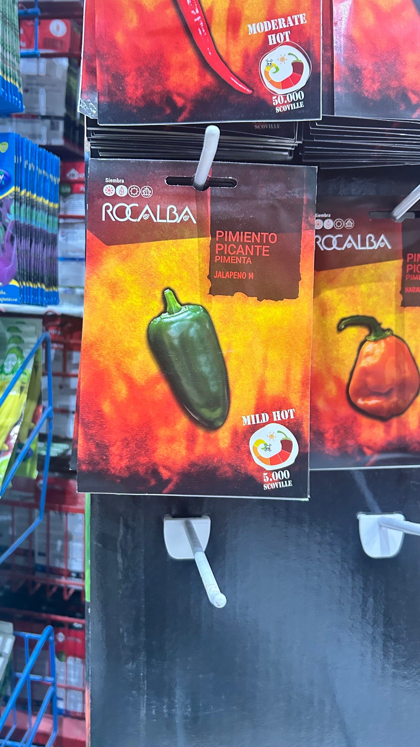 Chili paprika vetőmag Rocalba