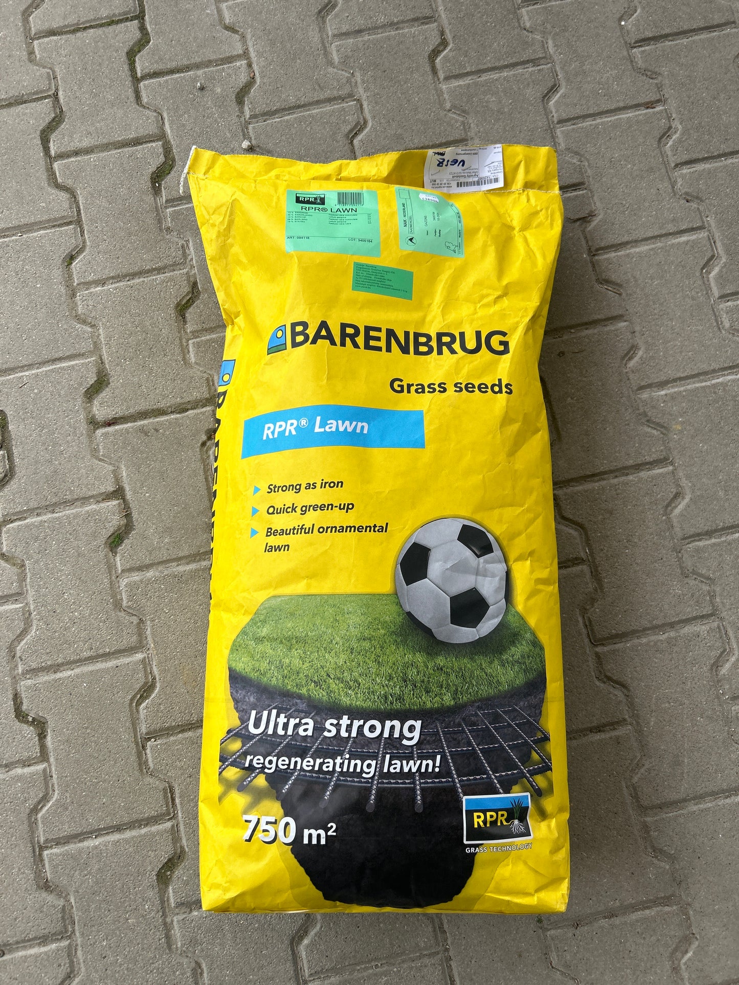 Barenburg fűmag