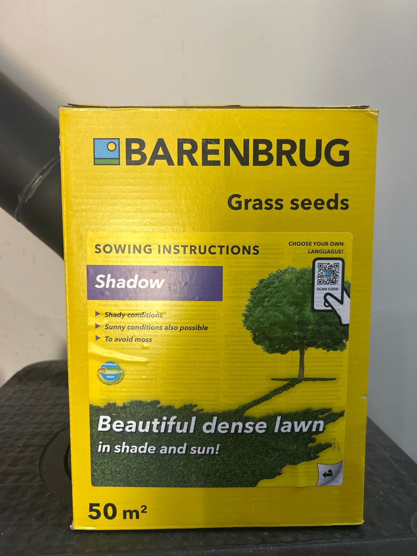 Barenburg fűmag