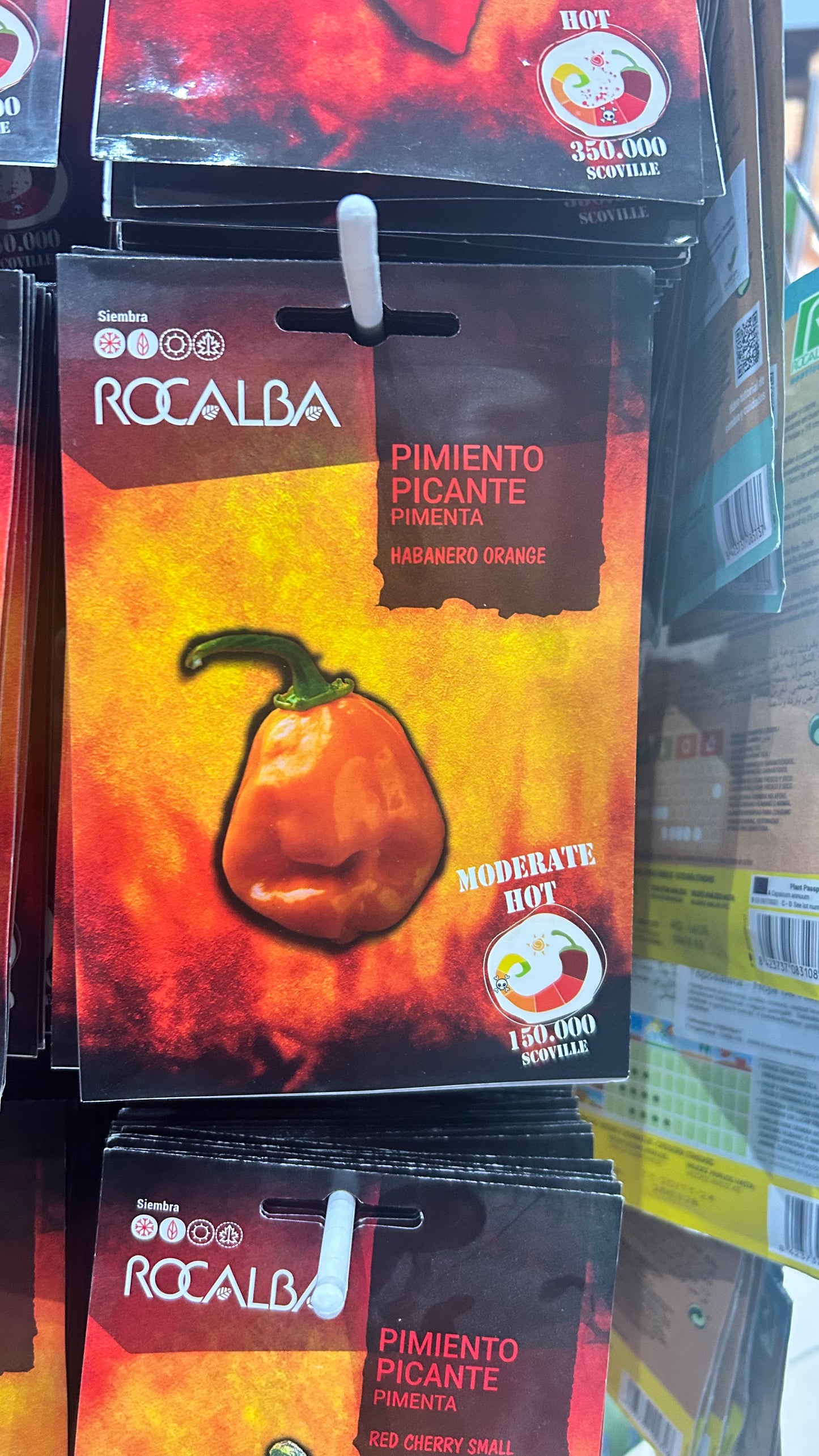 Chili paprika vetőmag Rocalba