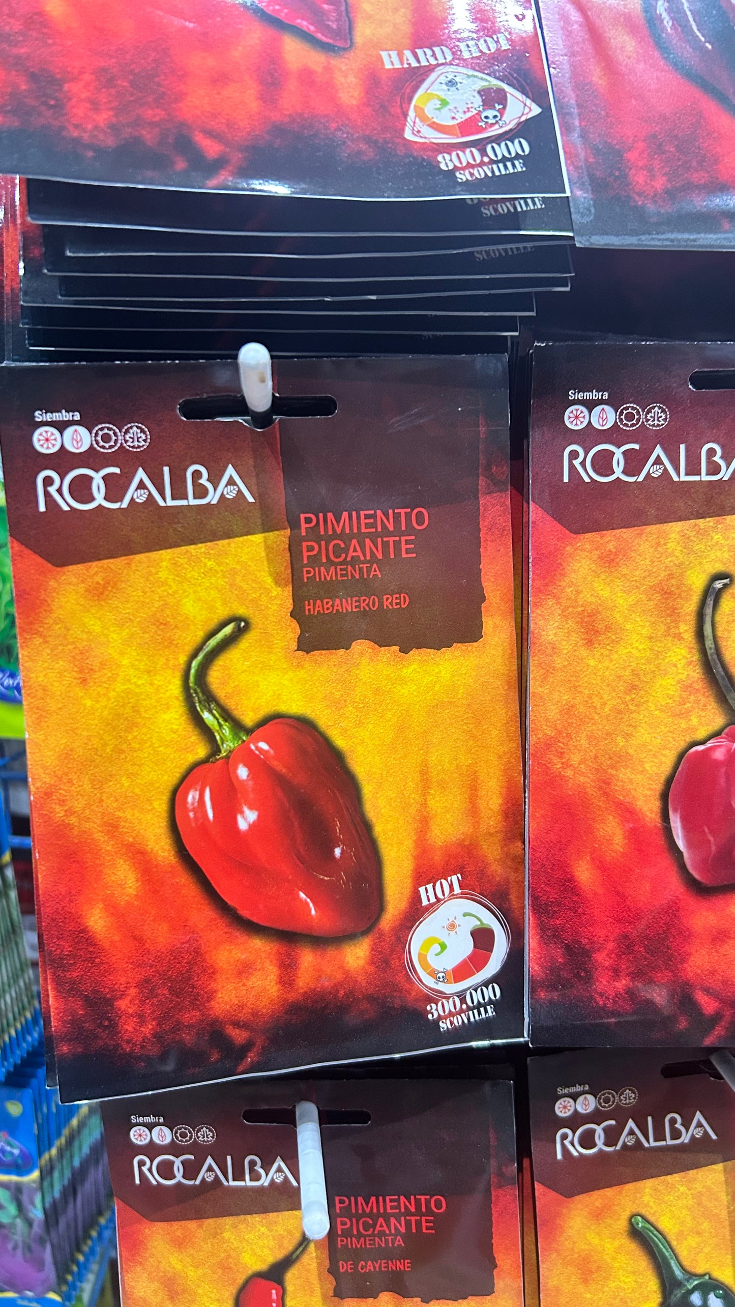 Chili paprika vetőmag Rocalba