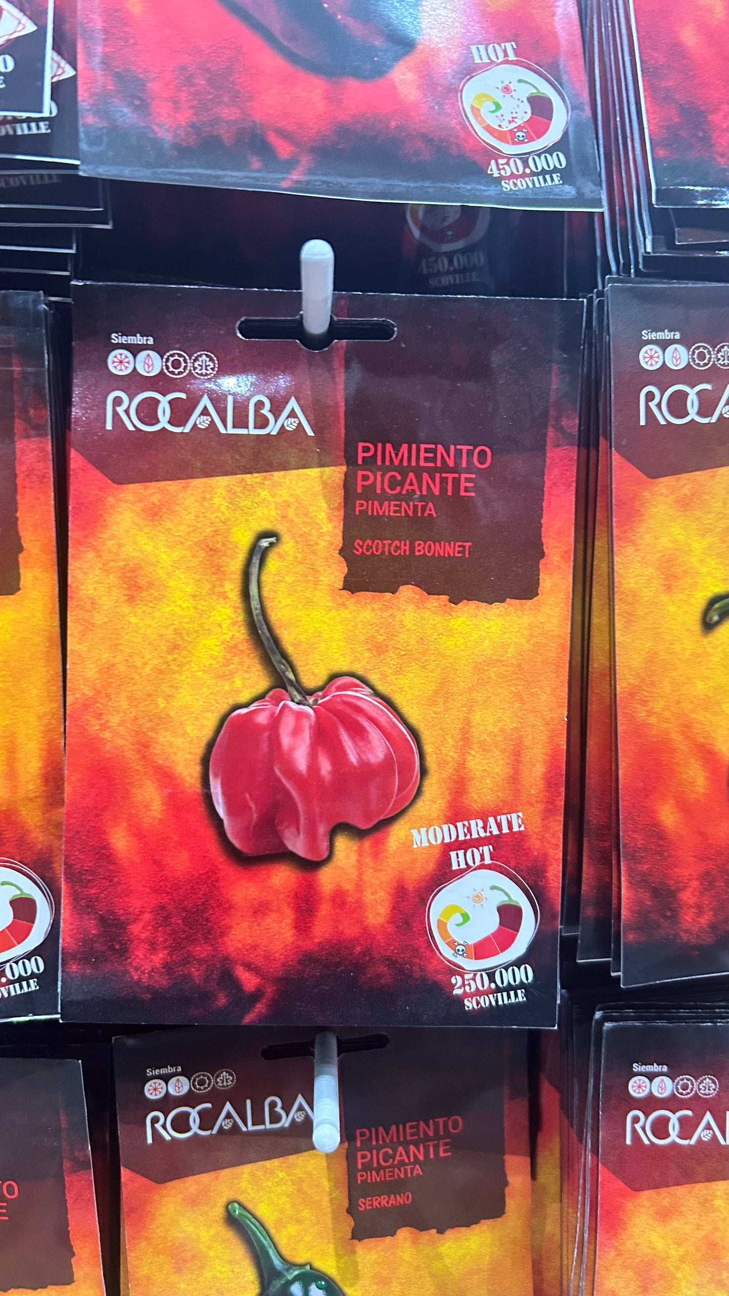 Chili paprika vetőmag Rocalba