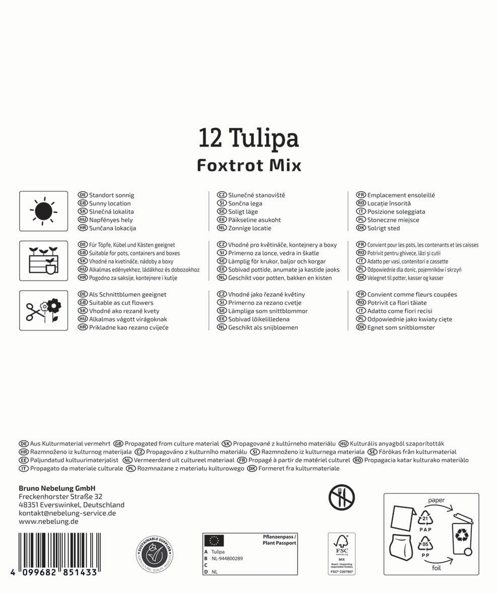 Virághagyma (őszi ültetésű) korai teltvirágú tulipán mix Foxtrot