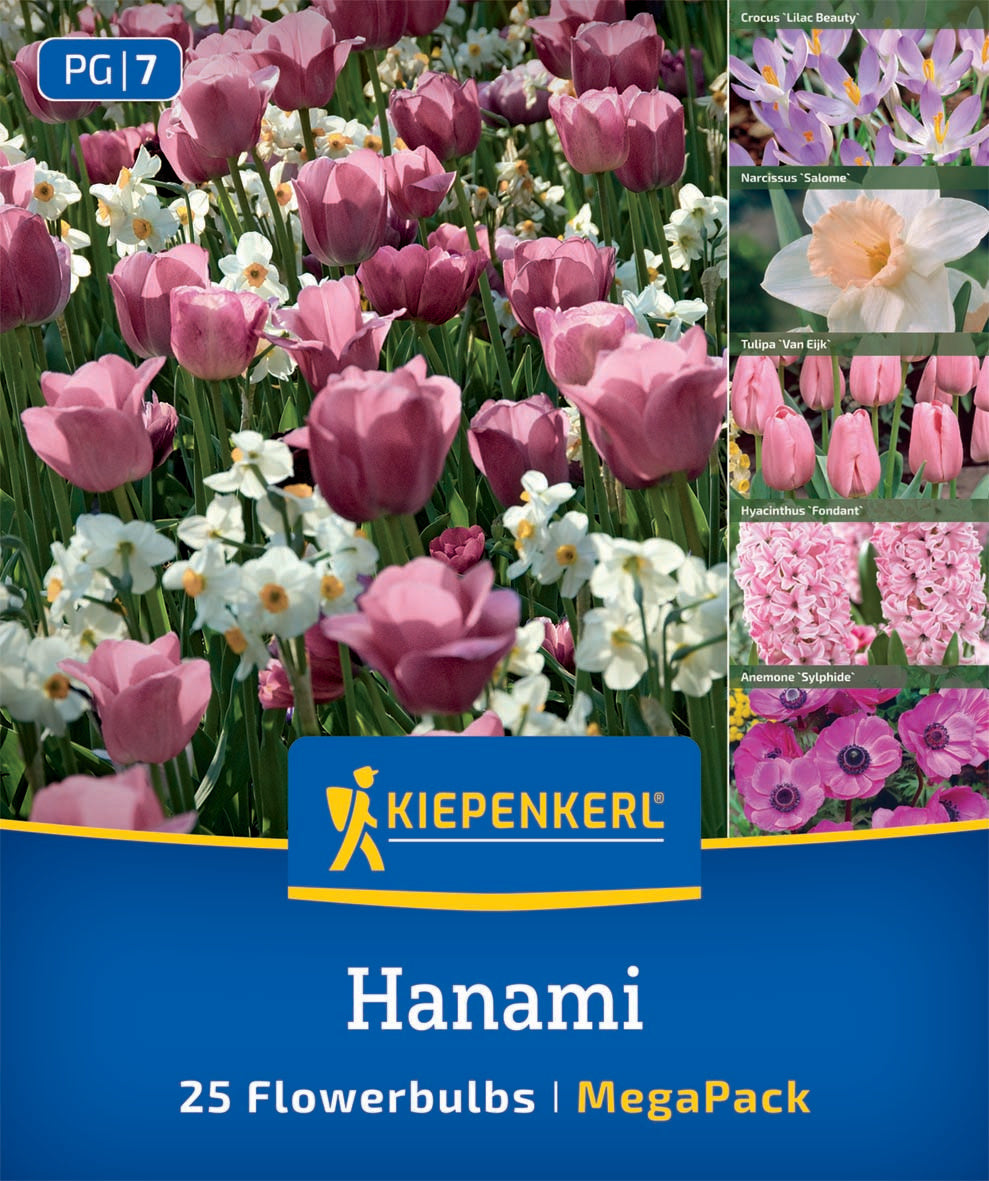 Virághagyma (őszi ültetésű) keverék Hanami