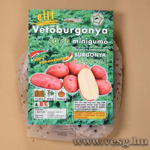 Vetőburgonya DÉMON 40db-os