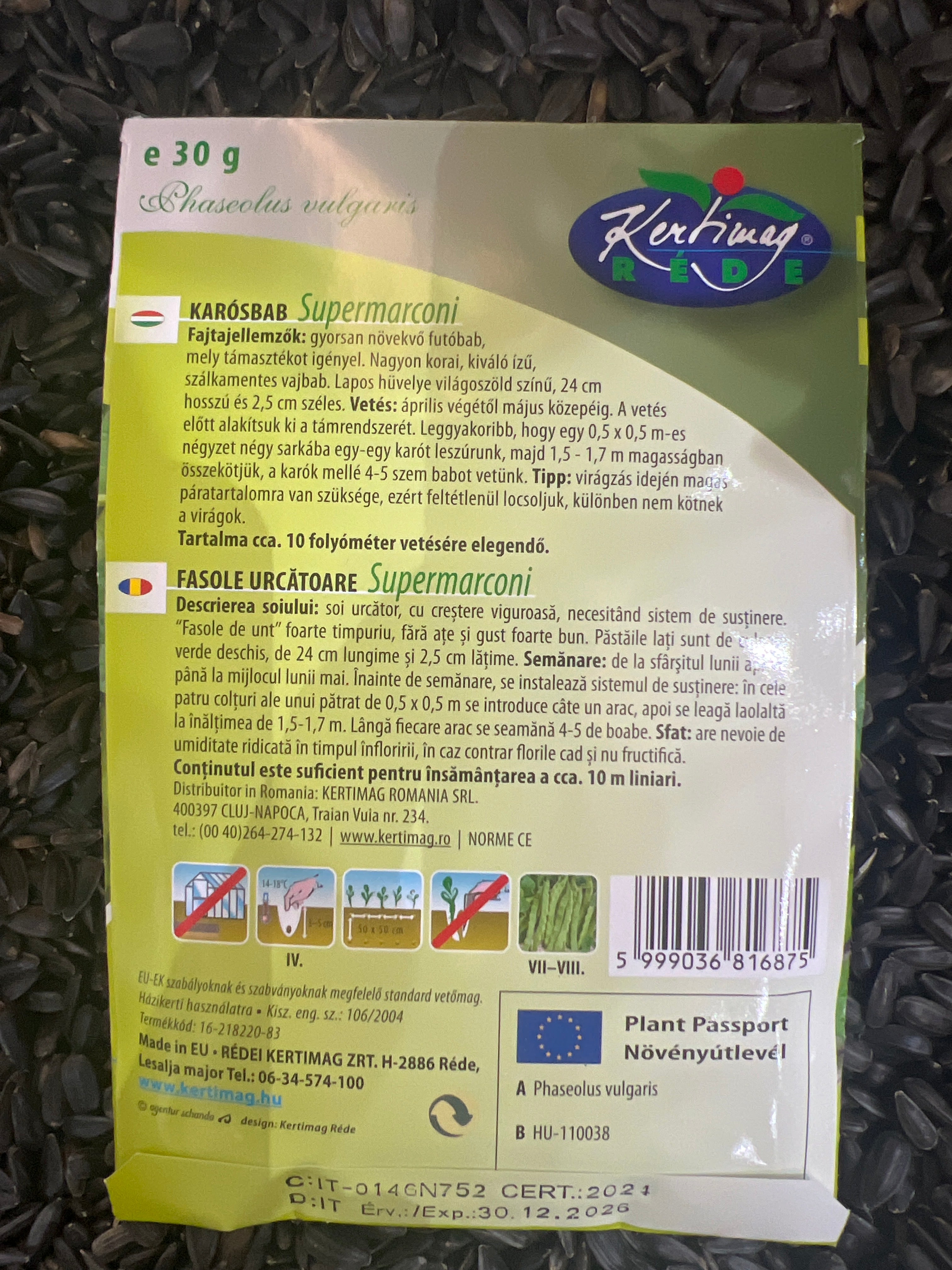 Futóbab korai szálka mentes vajbab zöld Supermarconi