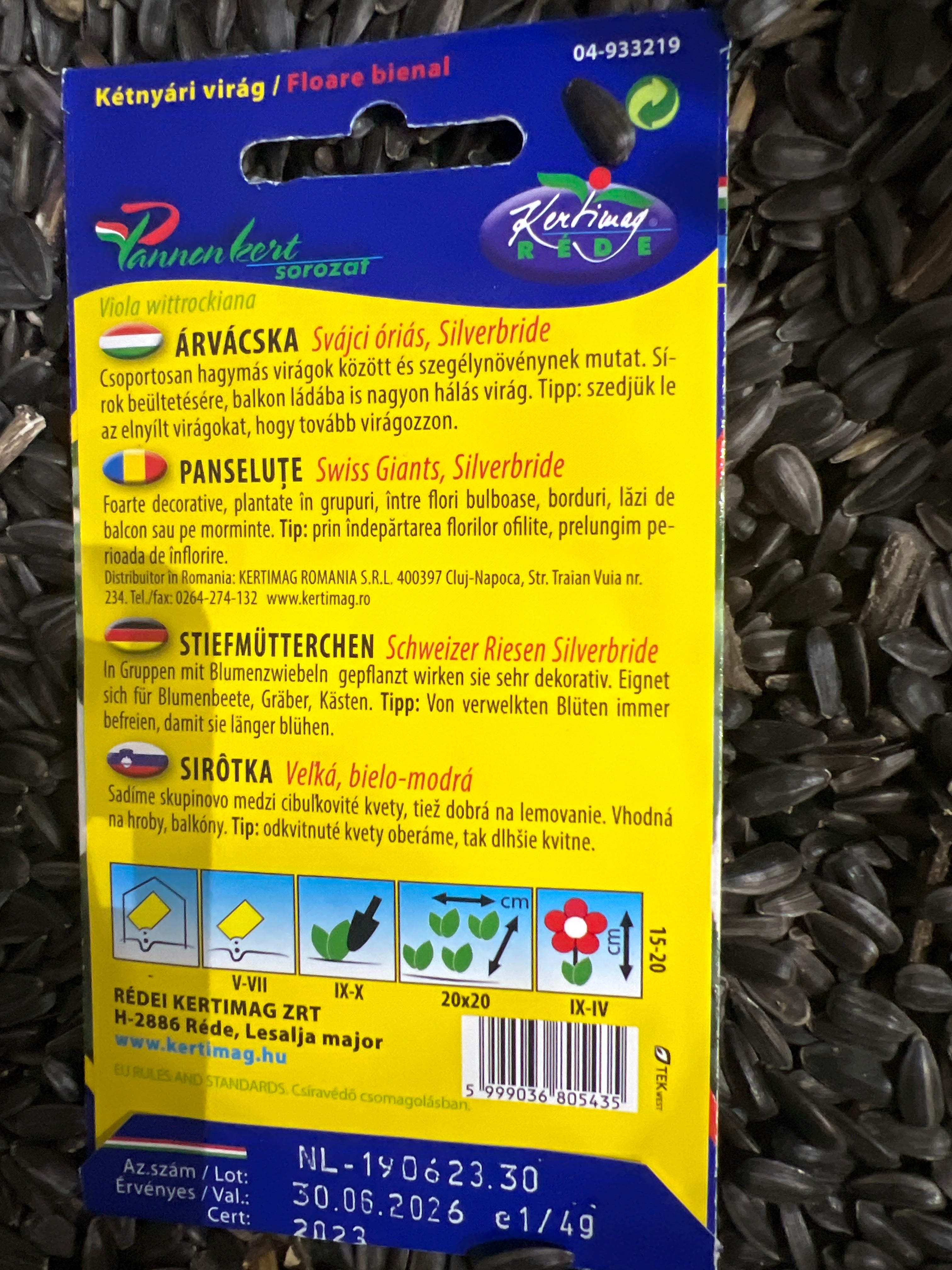 Árvácska Svájci óriás