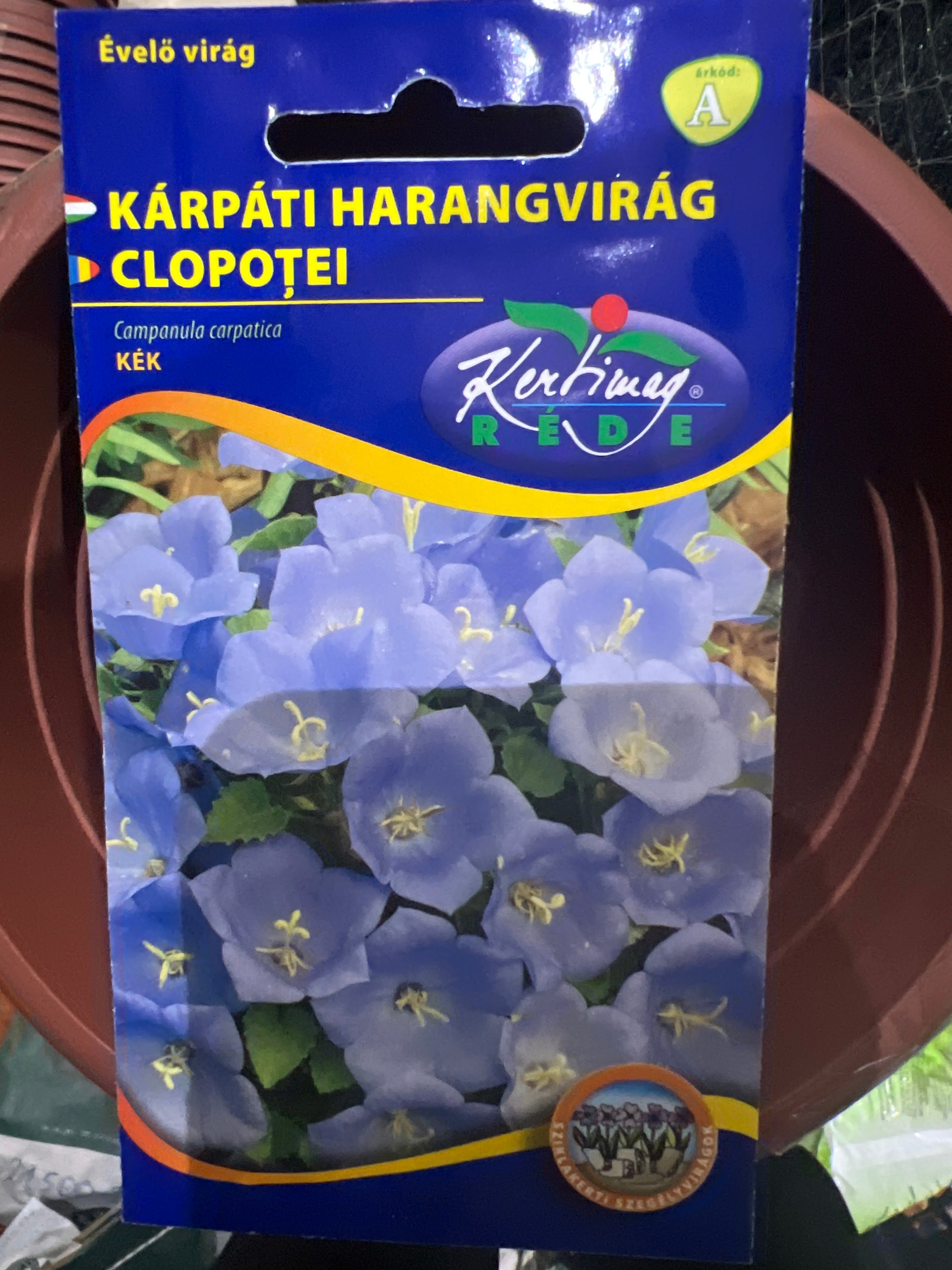 Kárpáti harangvirág kék