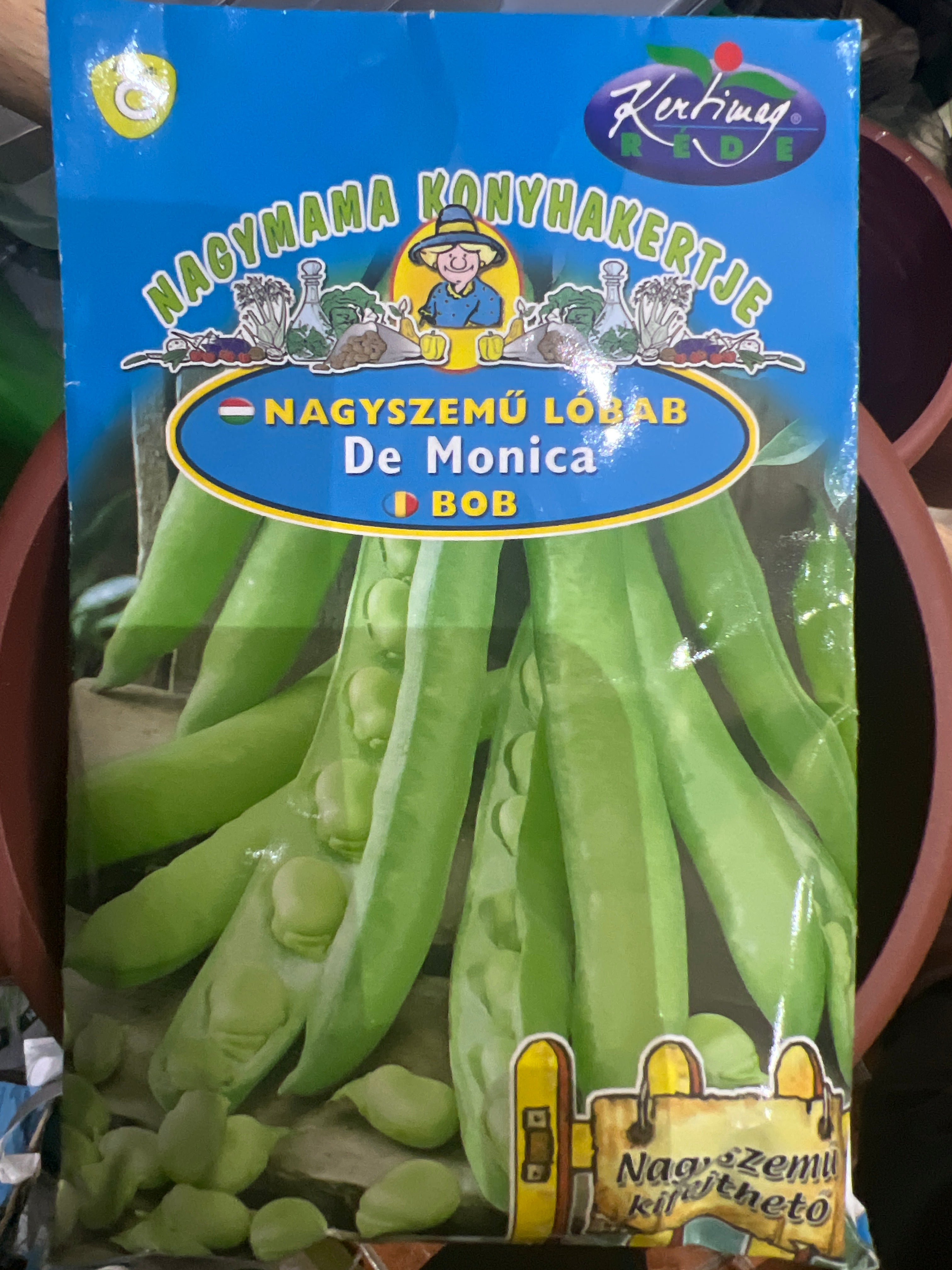 Nagyszemű lóbab De Monica, korai világos zöld