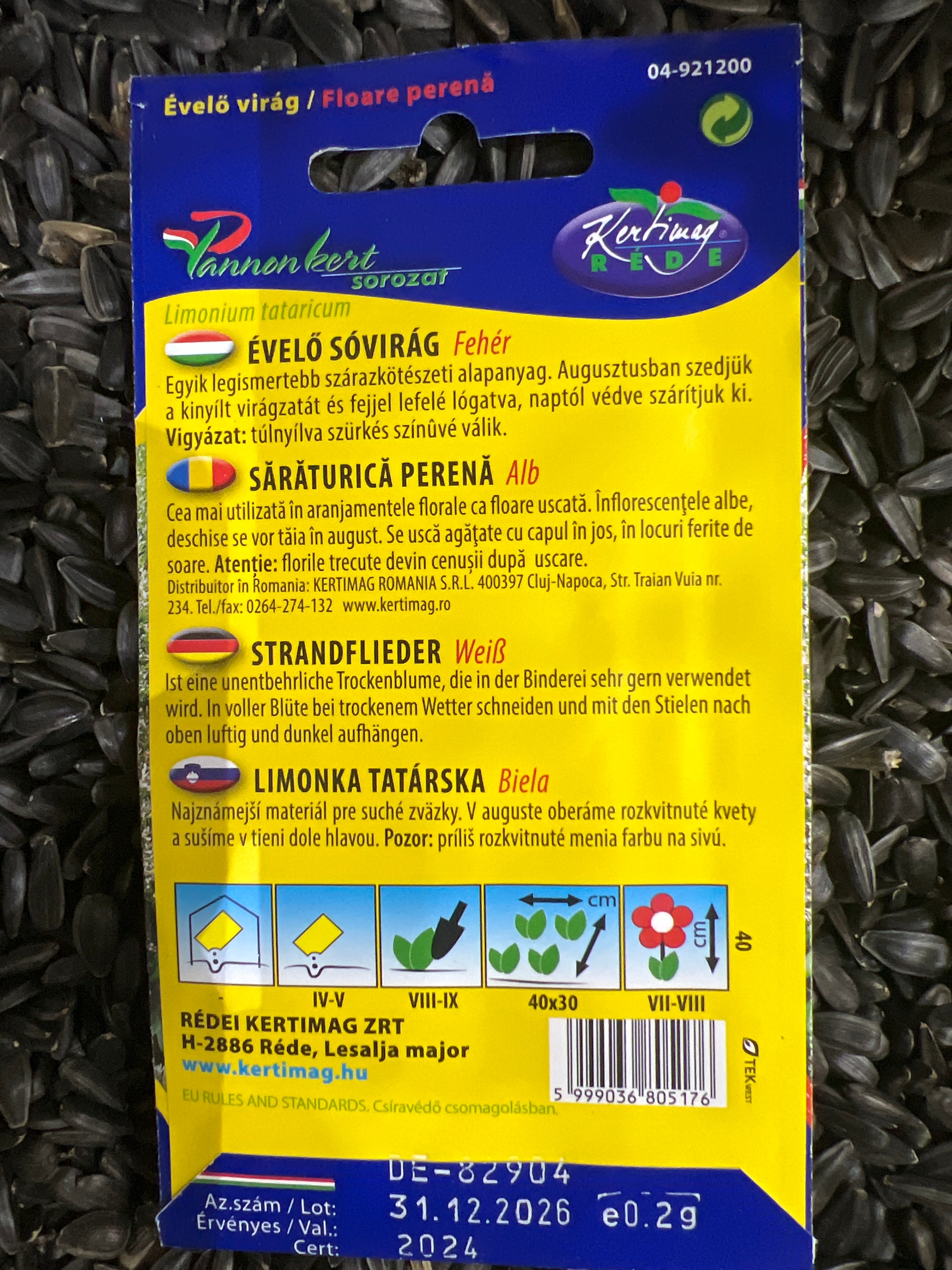 Sóvirág évelő fehér