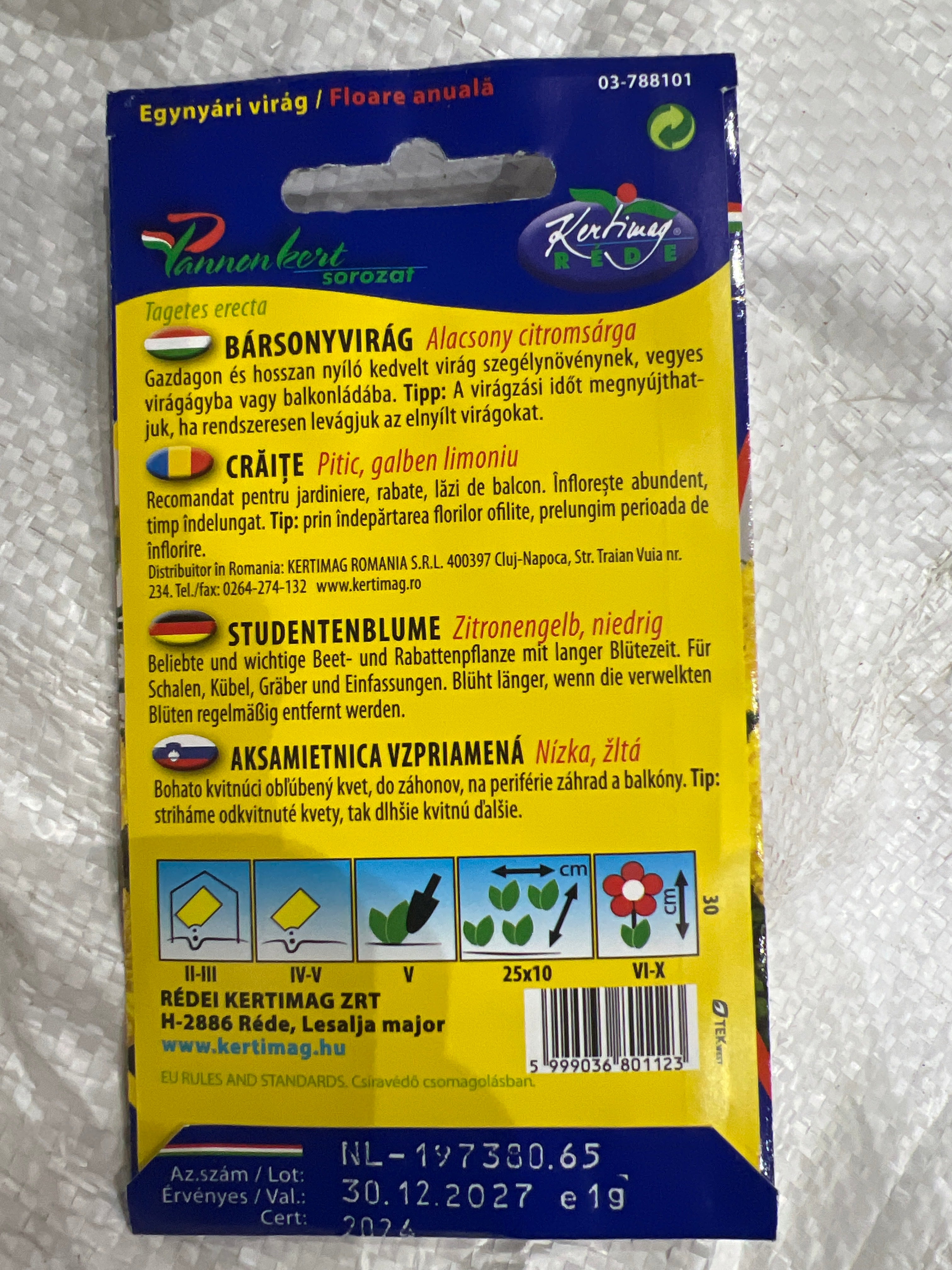 Bársonyvirág alacsony citrom