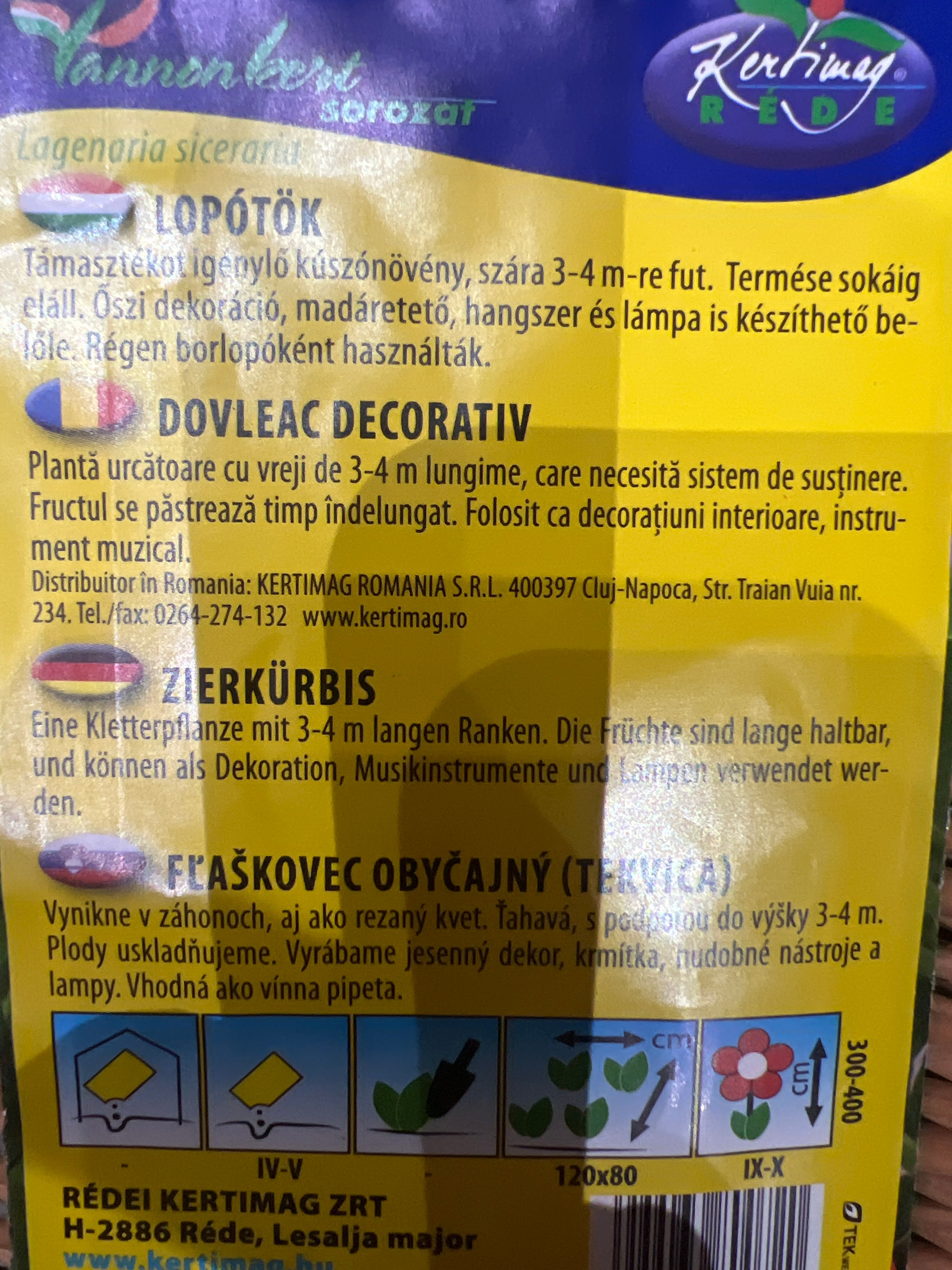 Lopótök egynyári virág