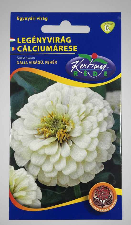 Legényvirág (dália virágú) fehér