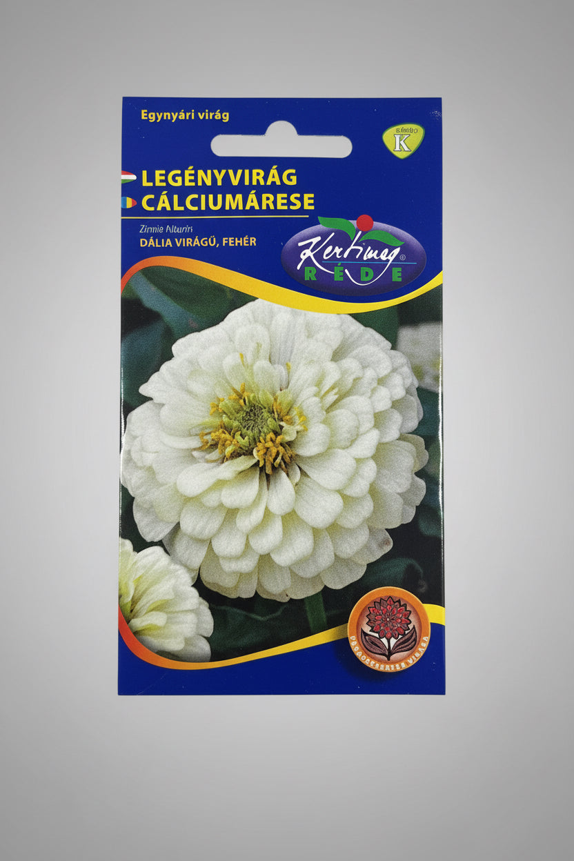 Legényvirág dália virágú fehér
