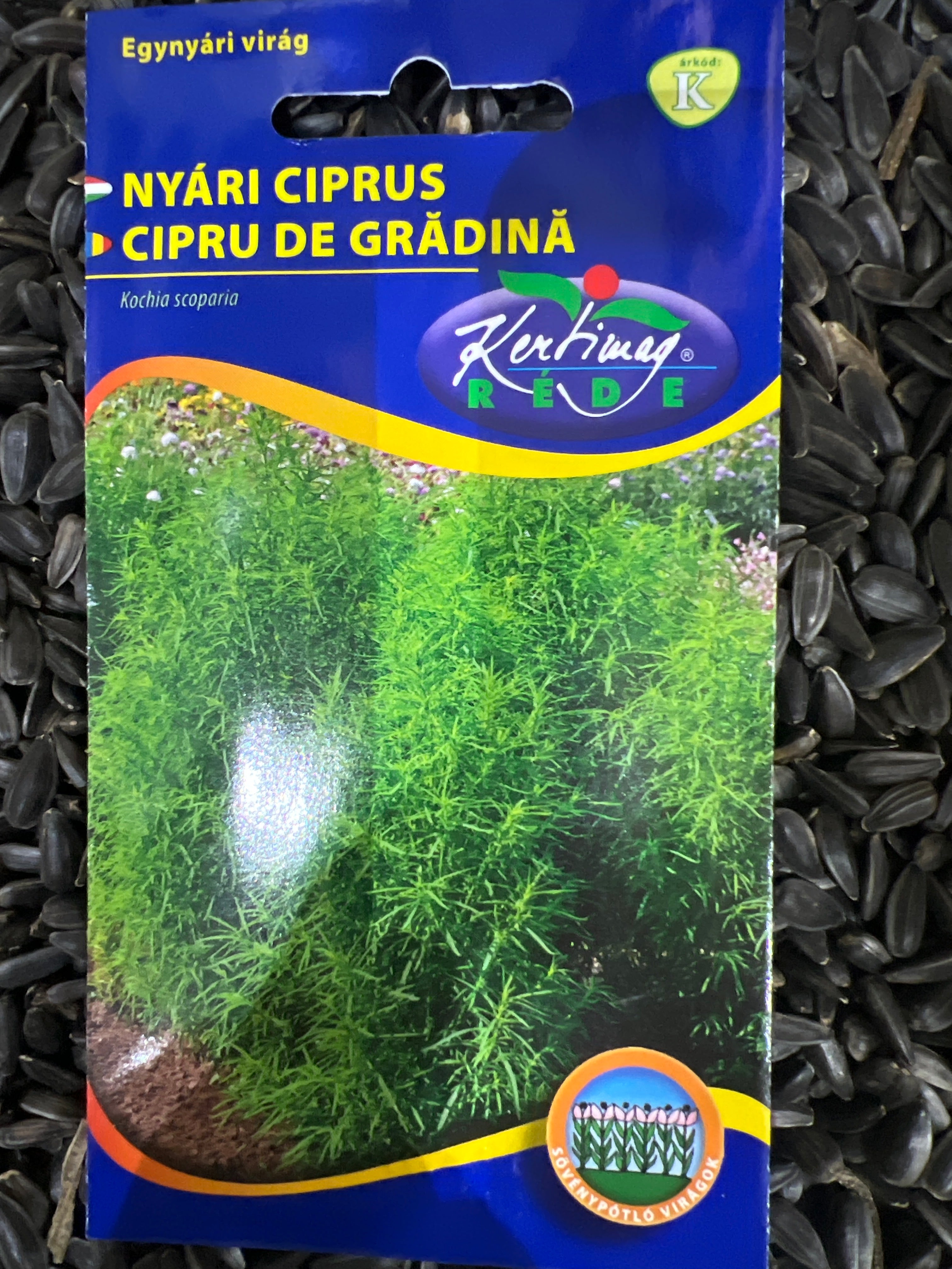 Nyári Ciprus egynyári