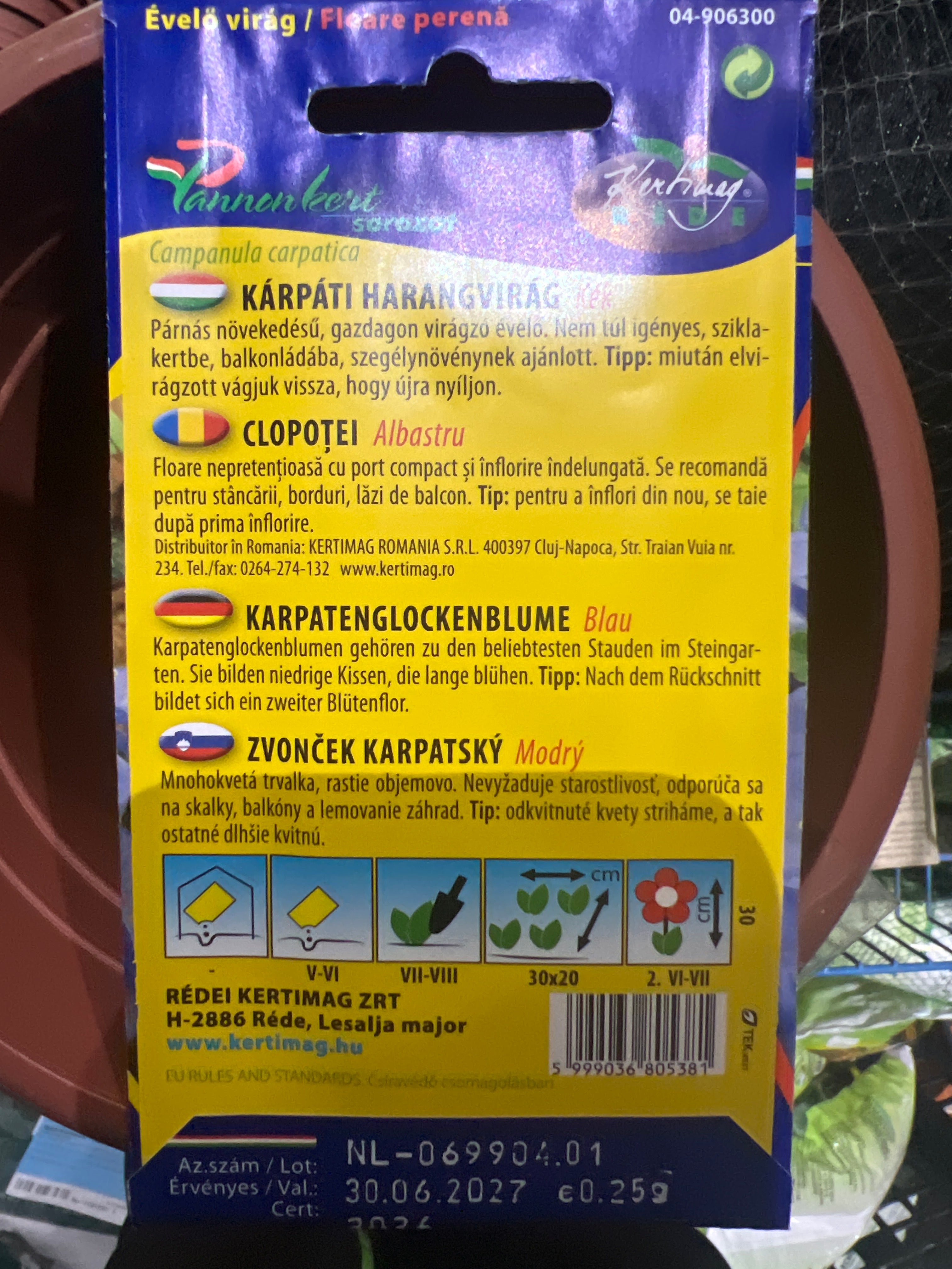 Kárpáti harangvirág kék