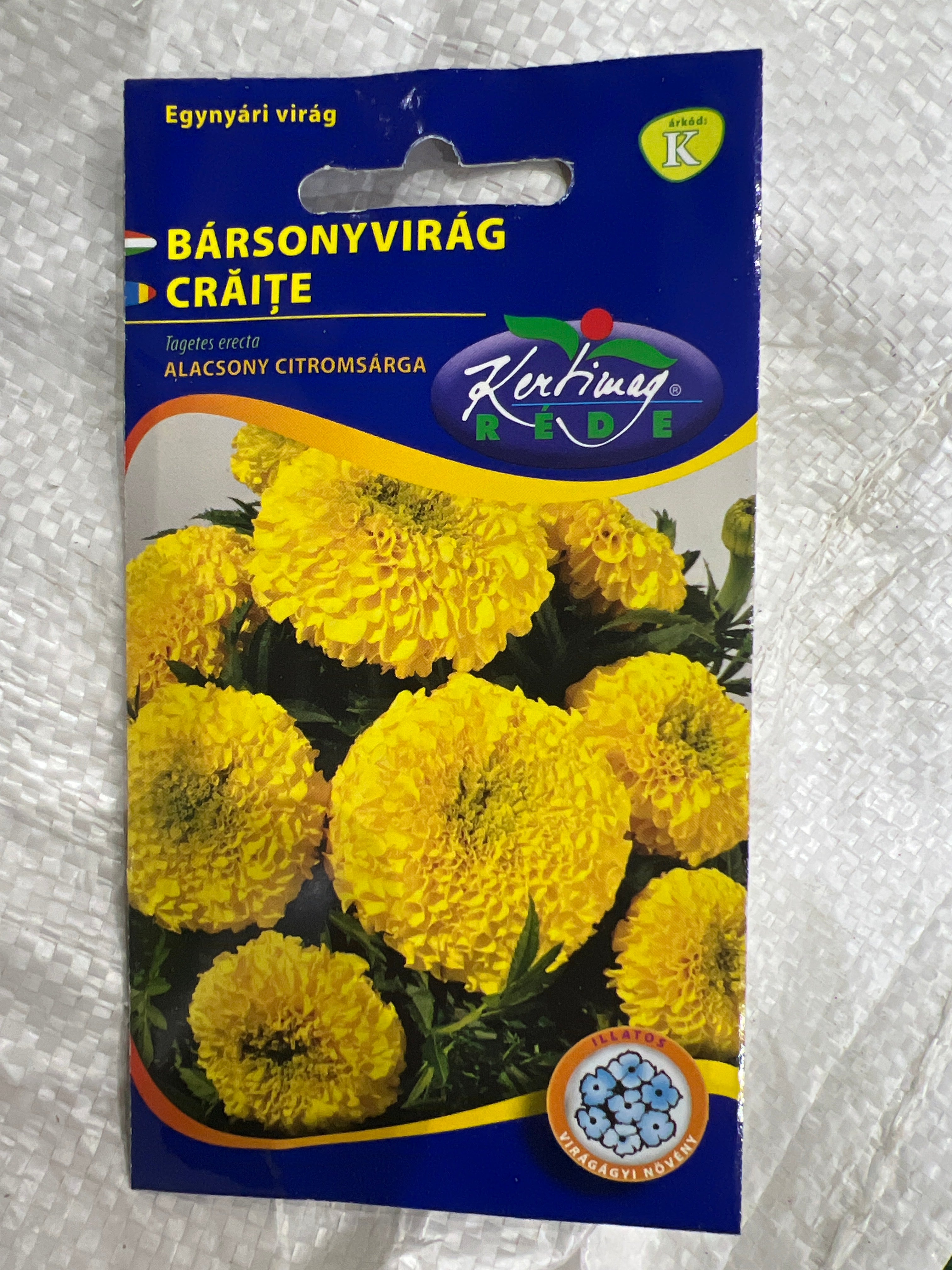 Bársonyvirág alacsony citrom