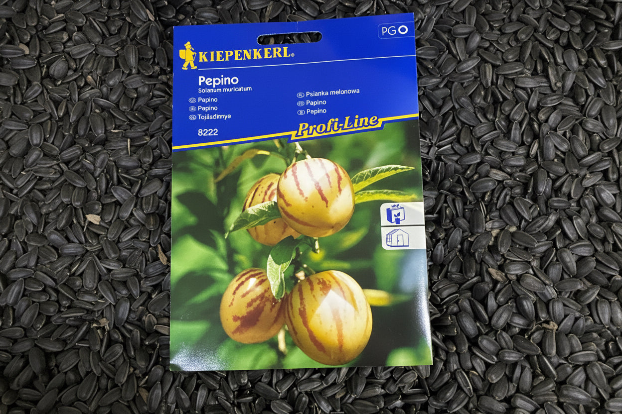 Tojásdinnye, Pepino