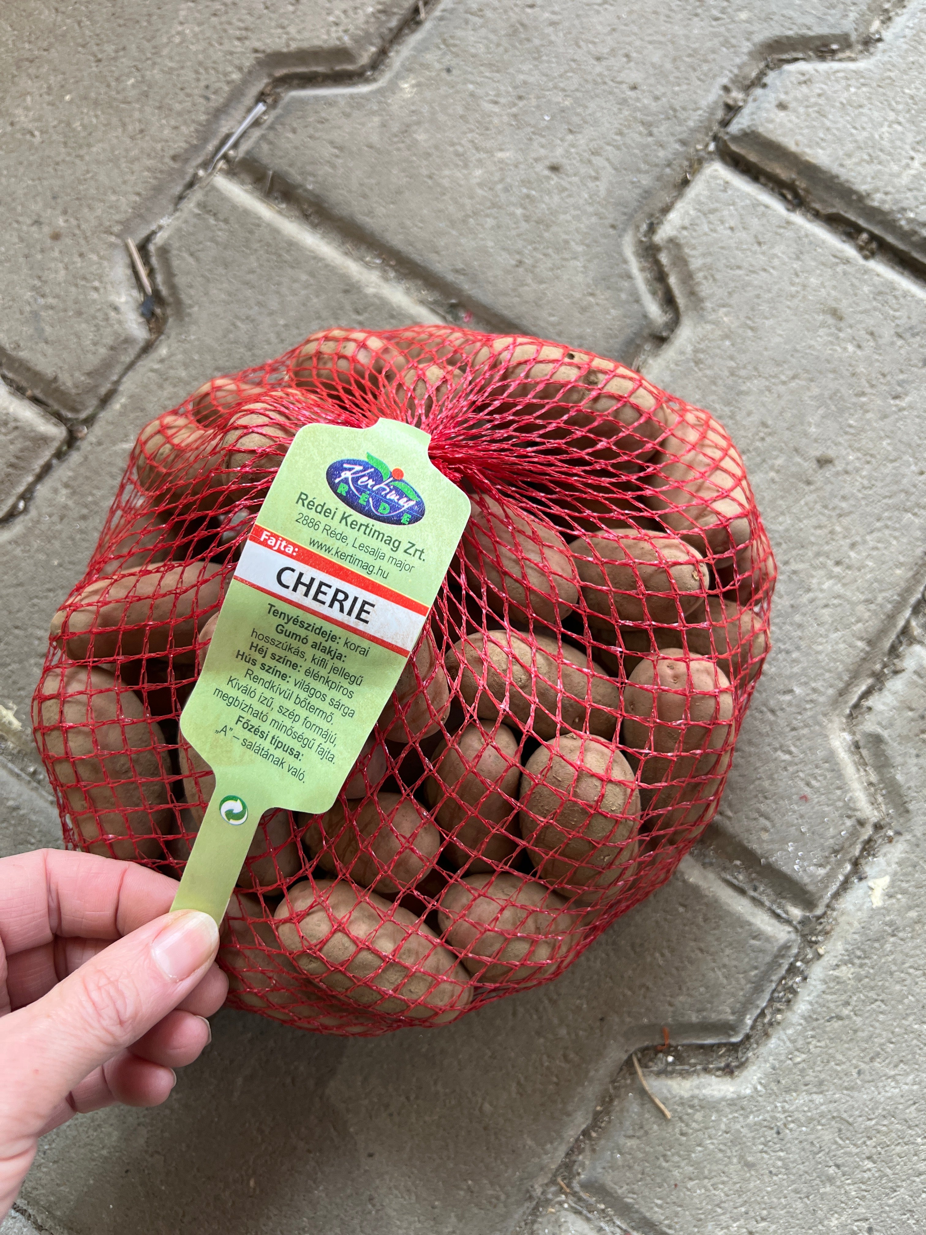 Vetőburgonya minigumò kifli Cherie / 50 szemes