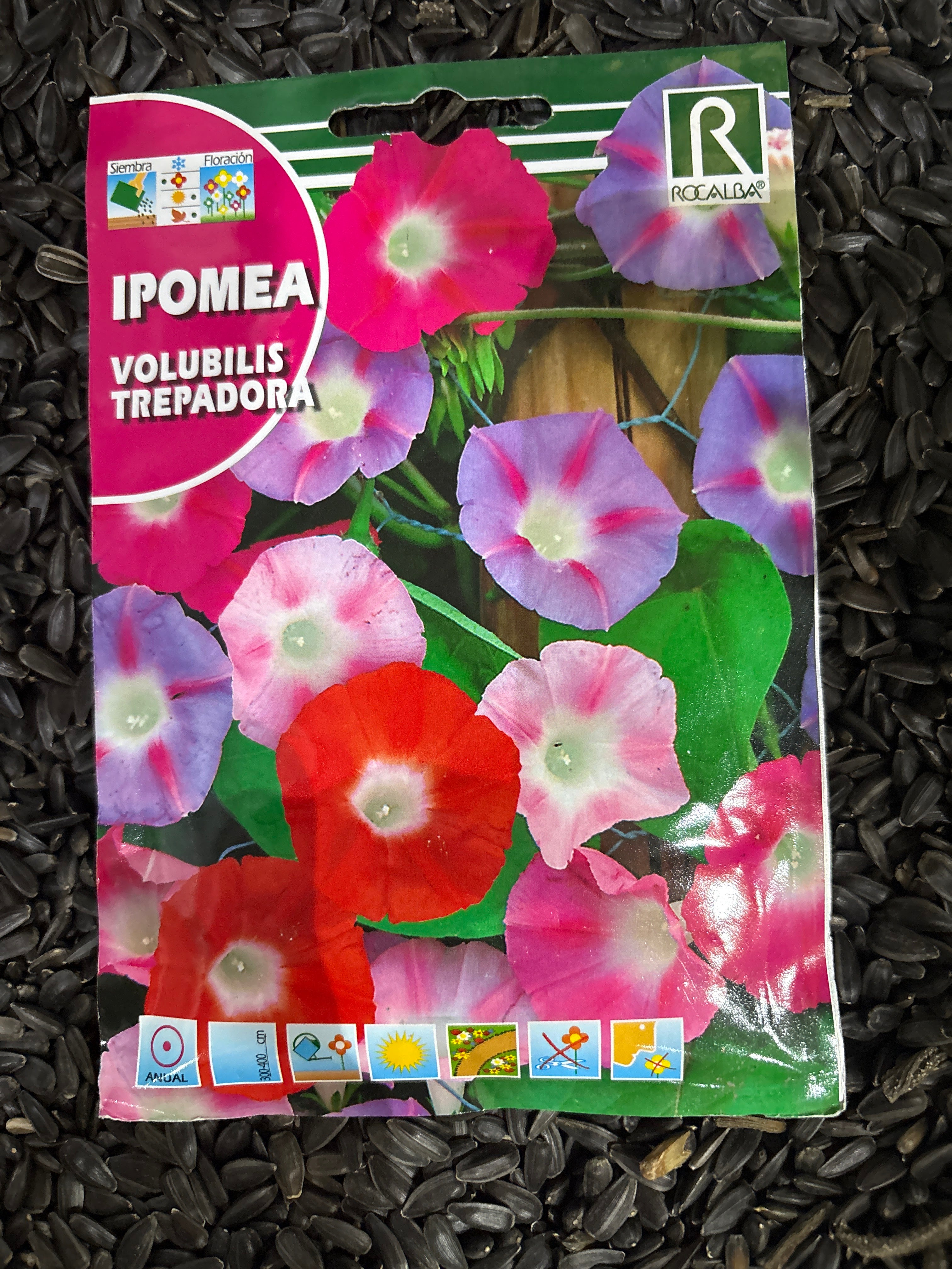 Rocalba Hajnalka 10g