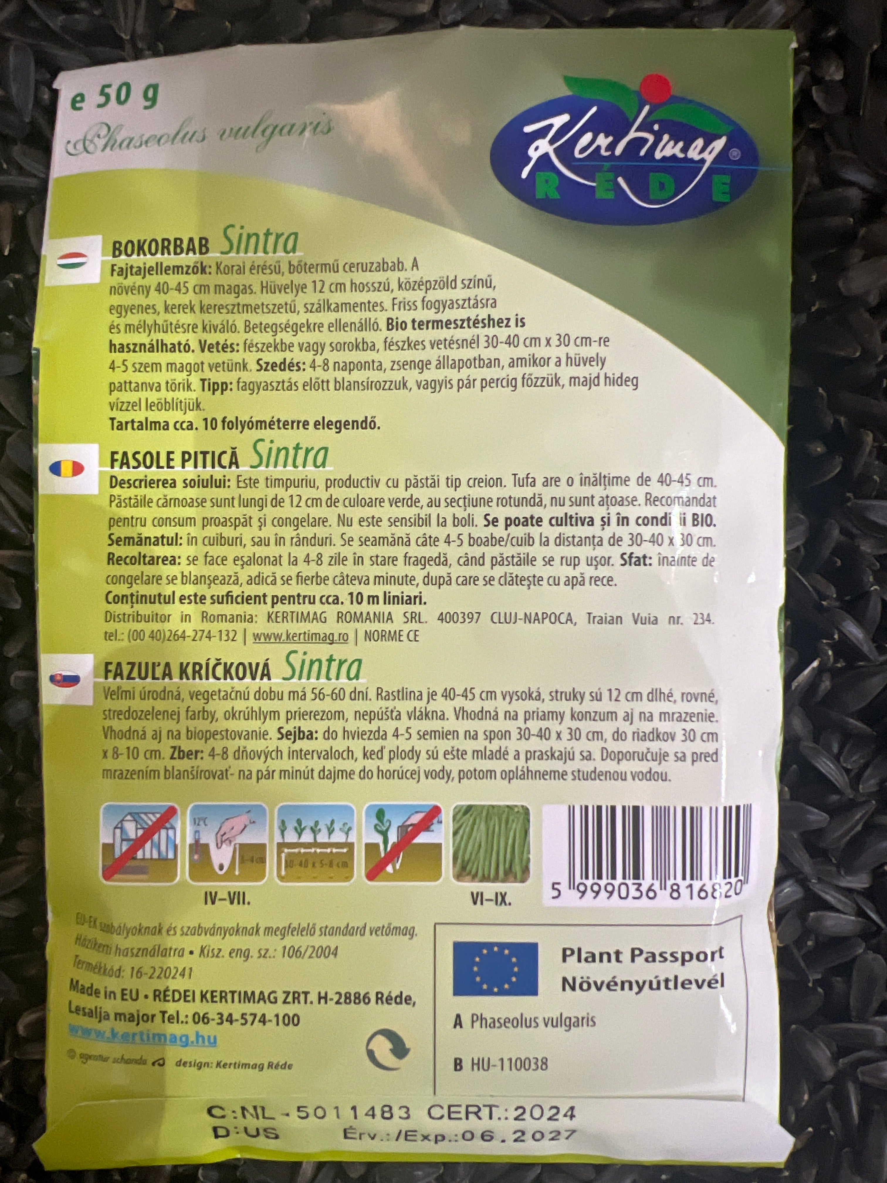 Bokorbab korai ceruzabab Sintra