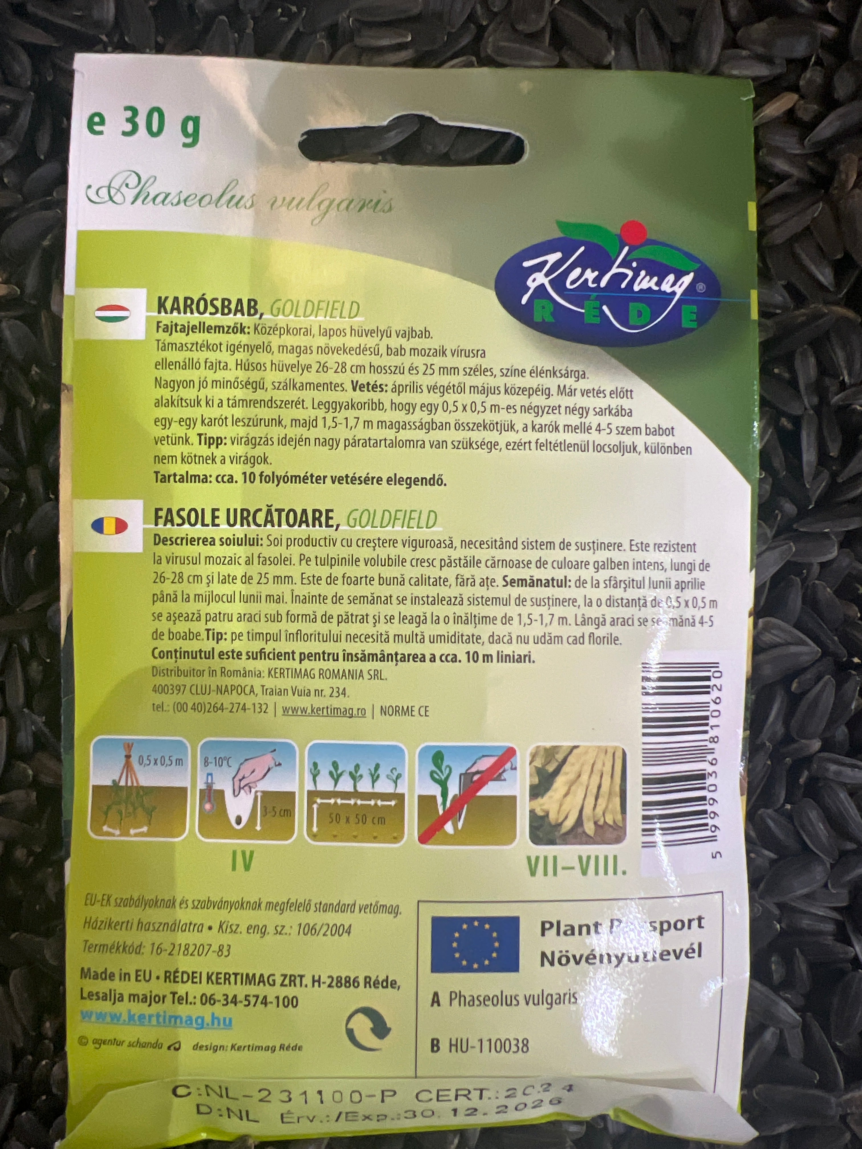 Karòsbab Juliska típusó középkorai lapos hüvelyű vaj bab