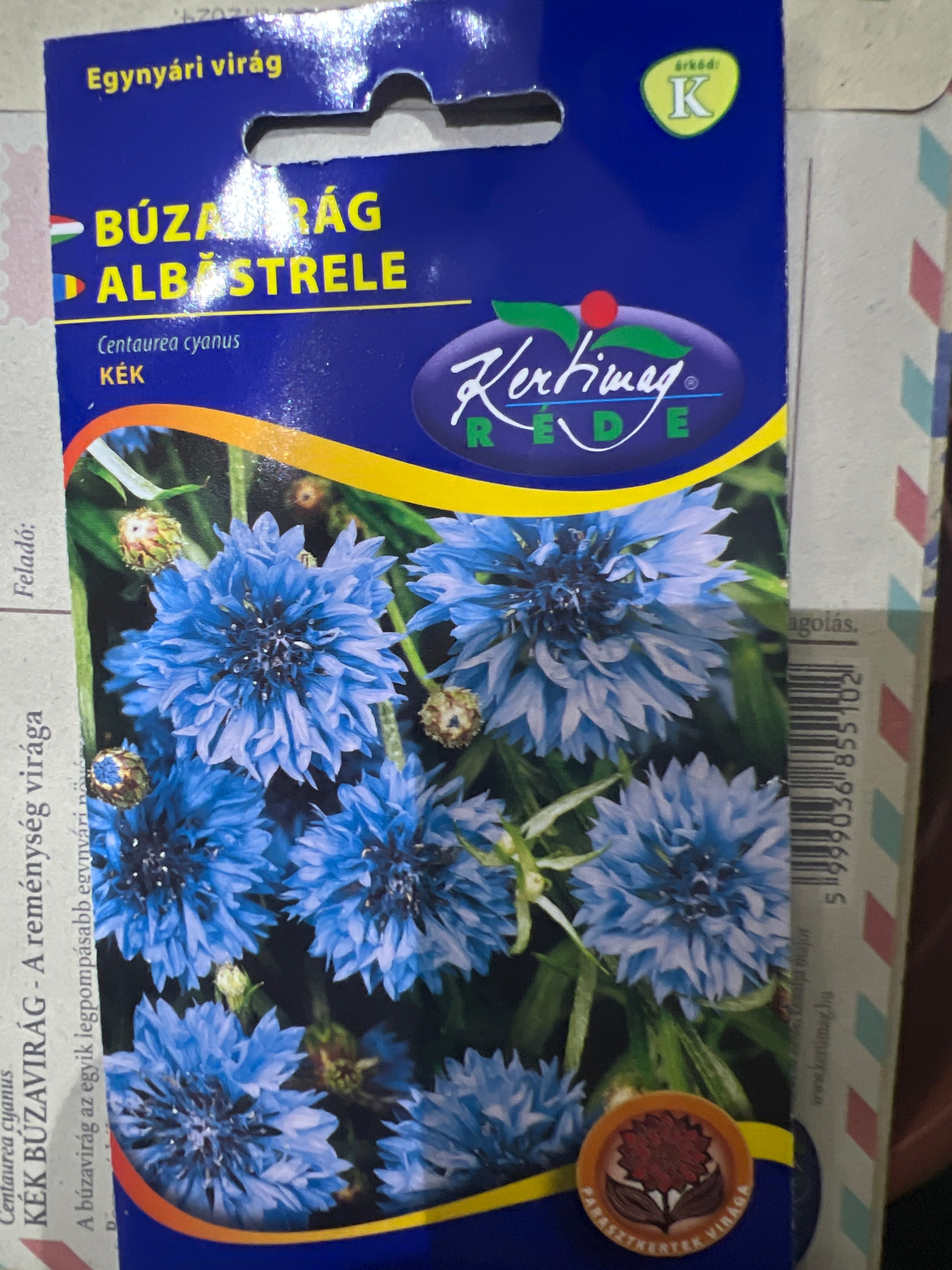 Búzavirág kék