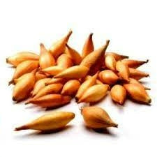 Dughagyma sturon 500g
