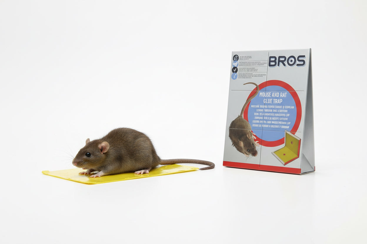 ￼ Ragadós patkány csapda