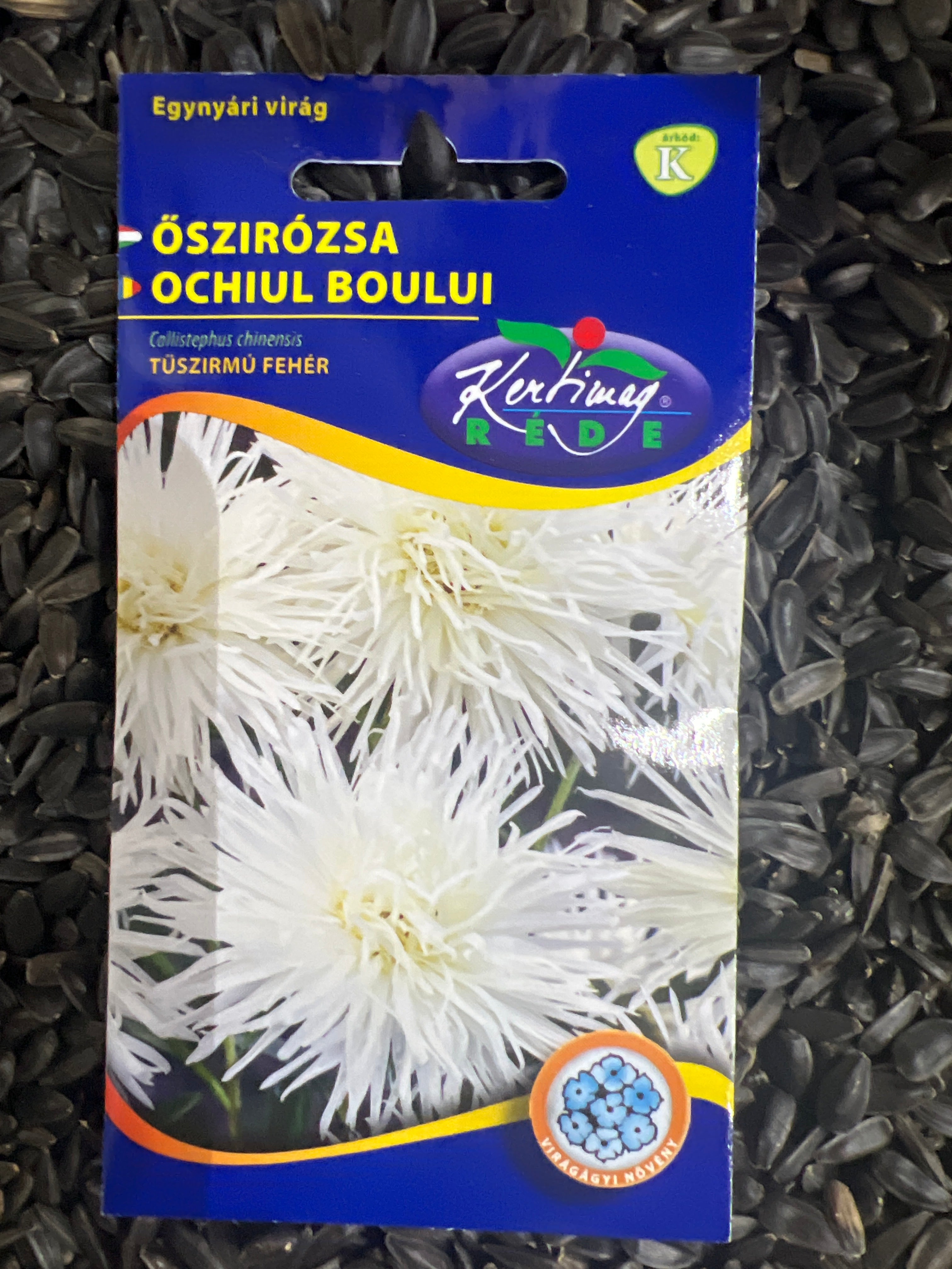Őszirózsa-tűszirmú fehér