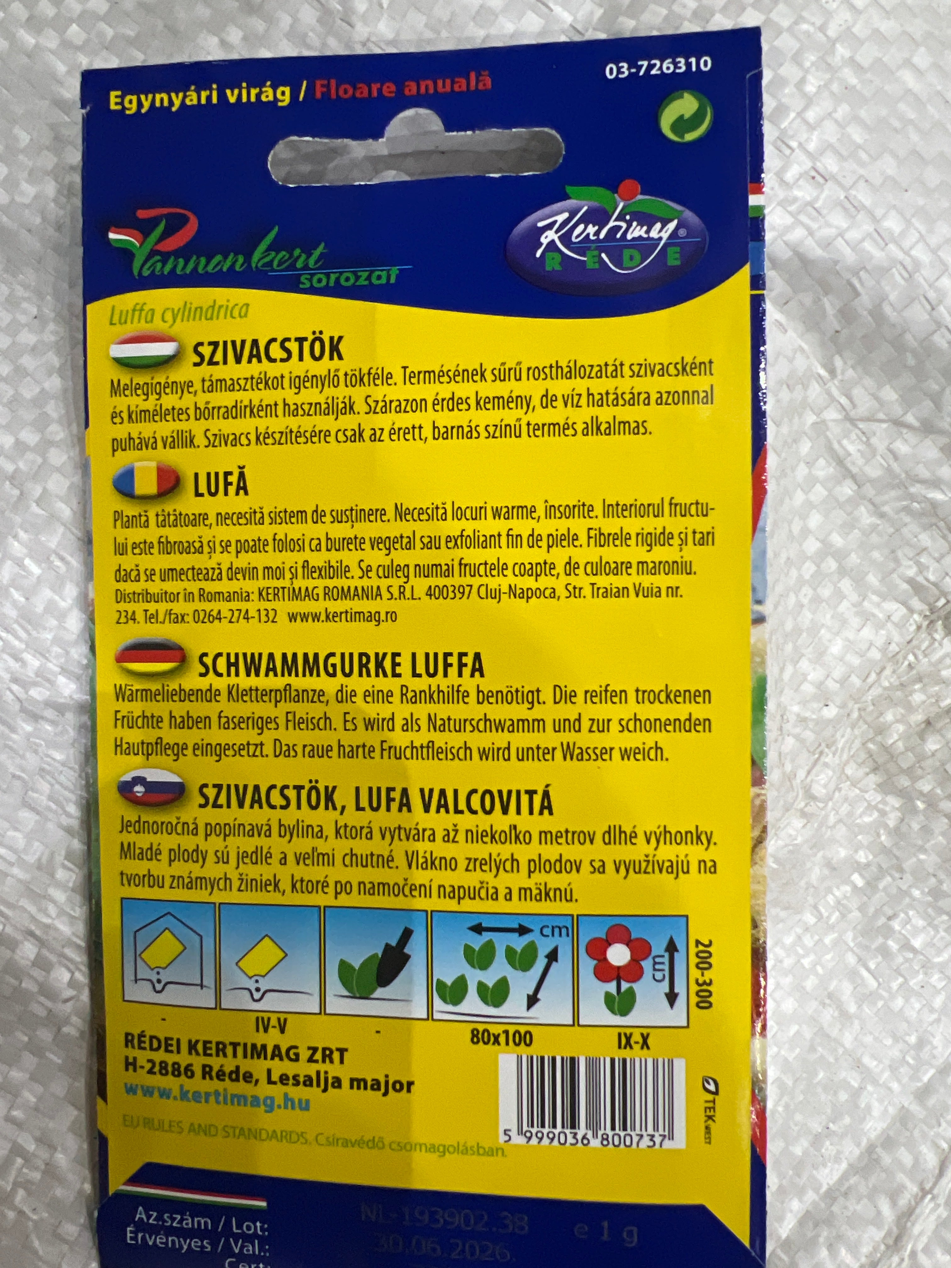 Szivacstök (Luffatök)