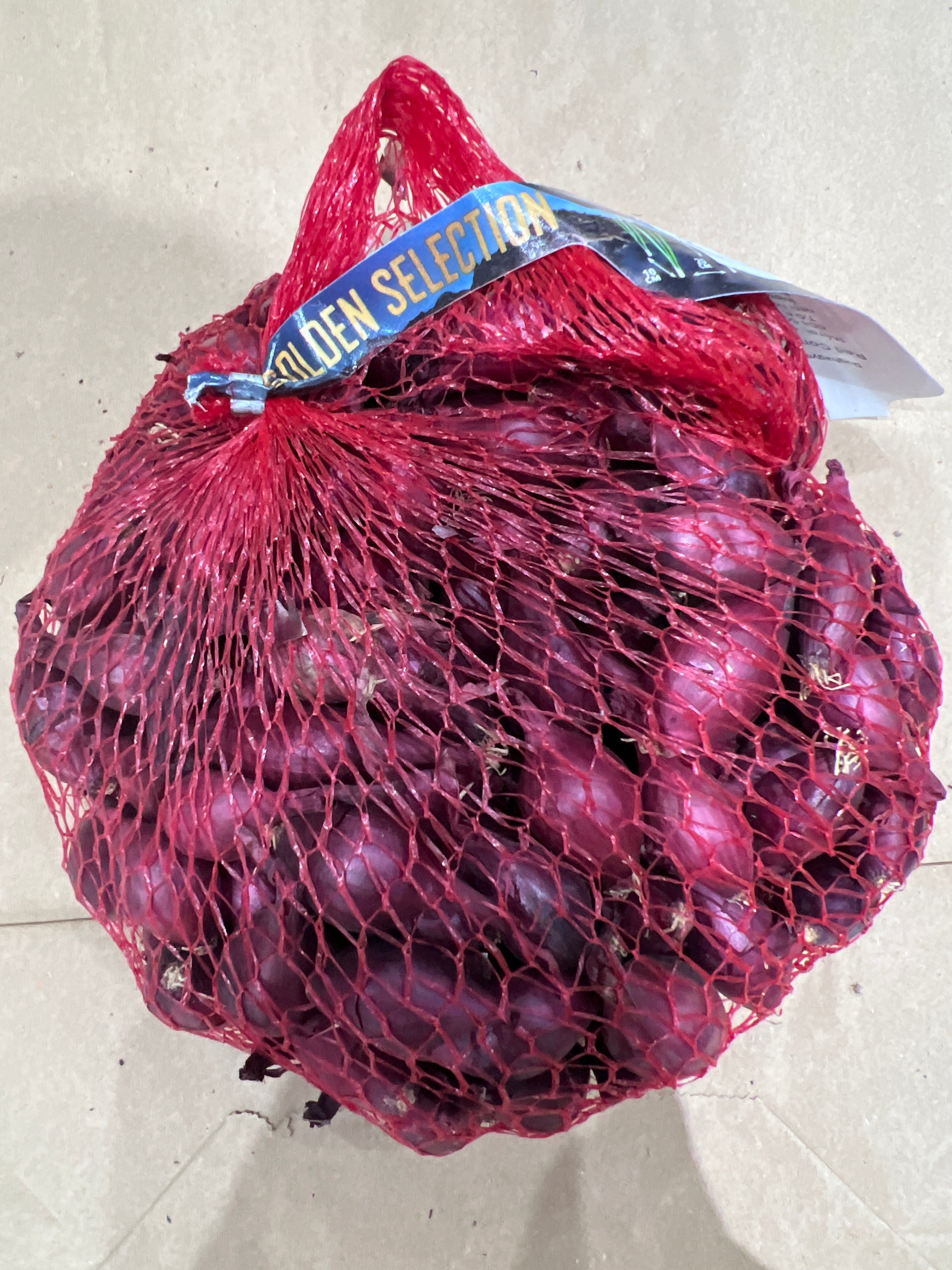 Dughagyma Red Carmen