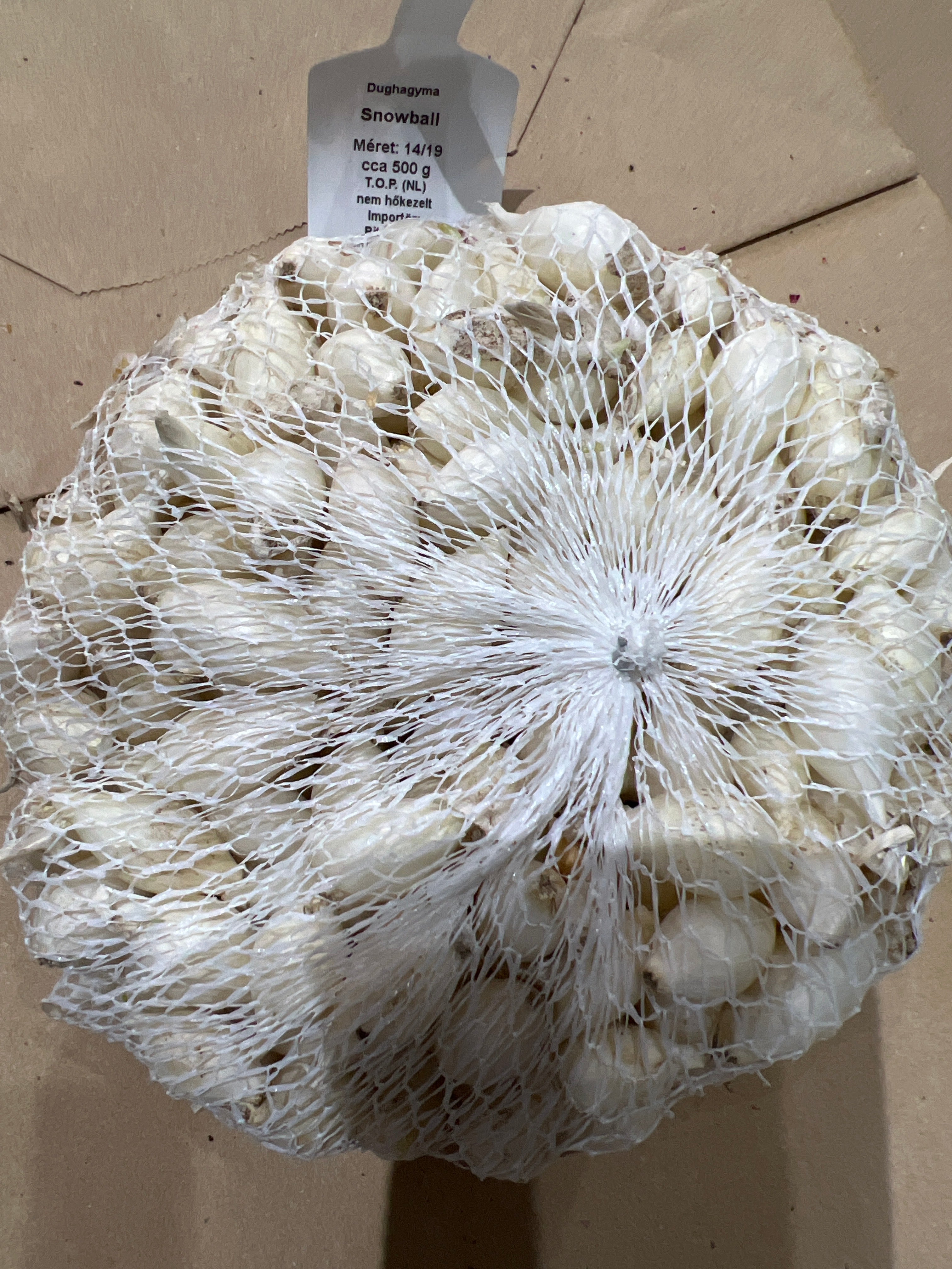 Dughagyma fehérhagyma Snowball 500gr