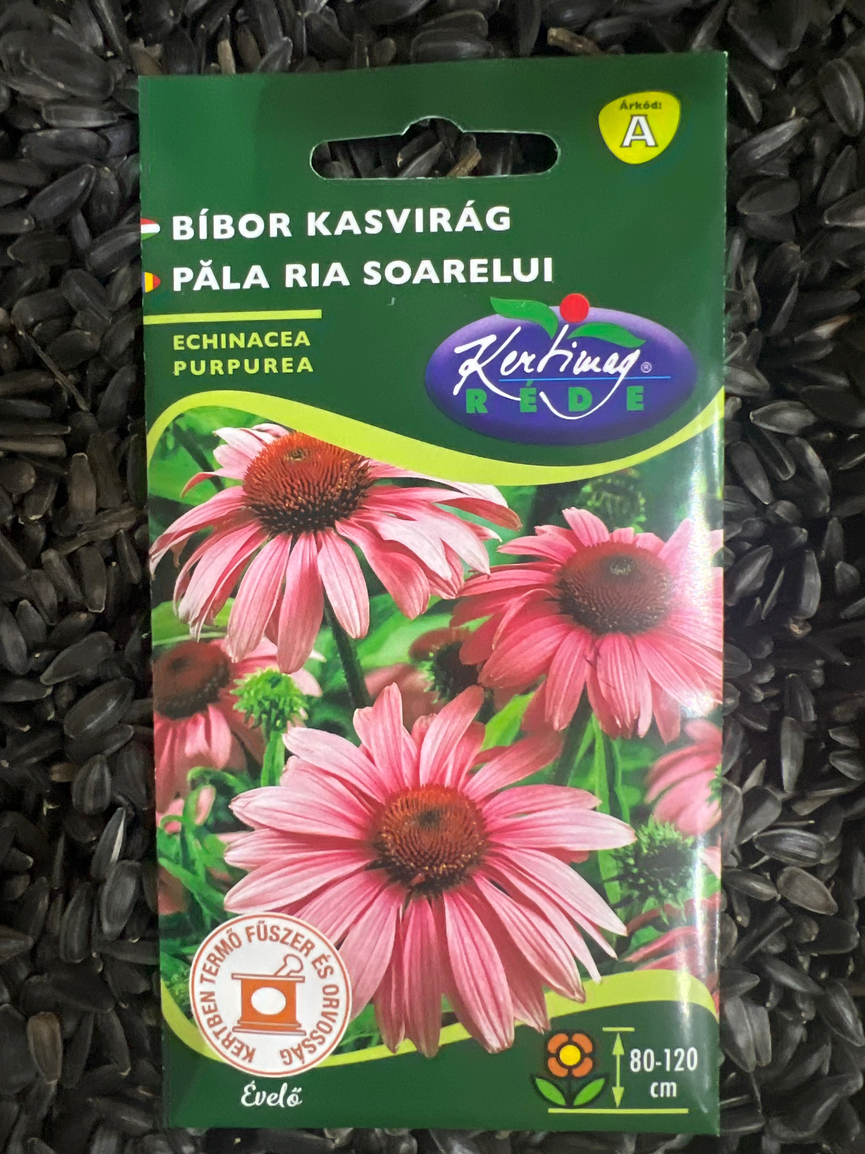 Bíbor kasvirág