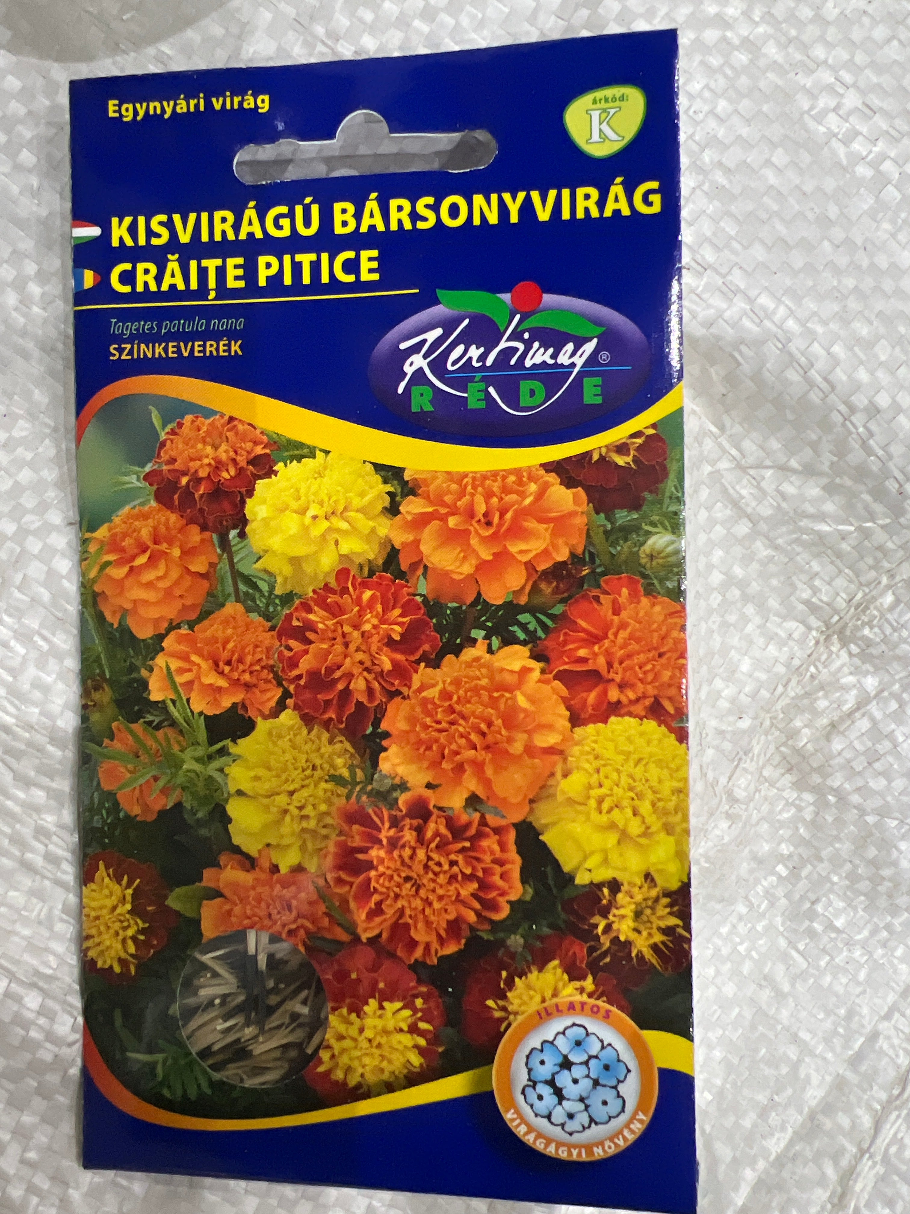 Bársonyvirág kisvirágú