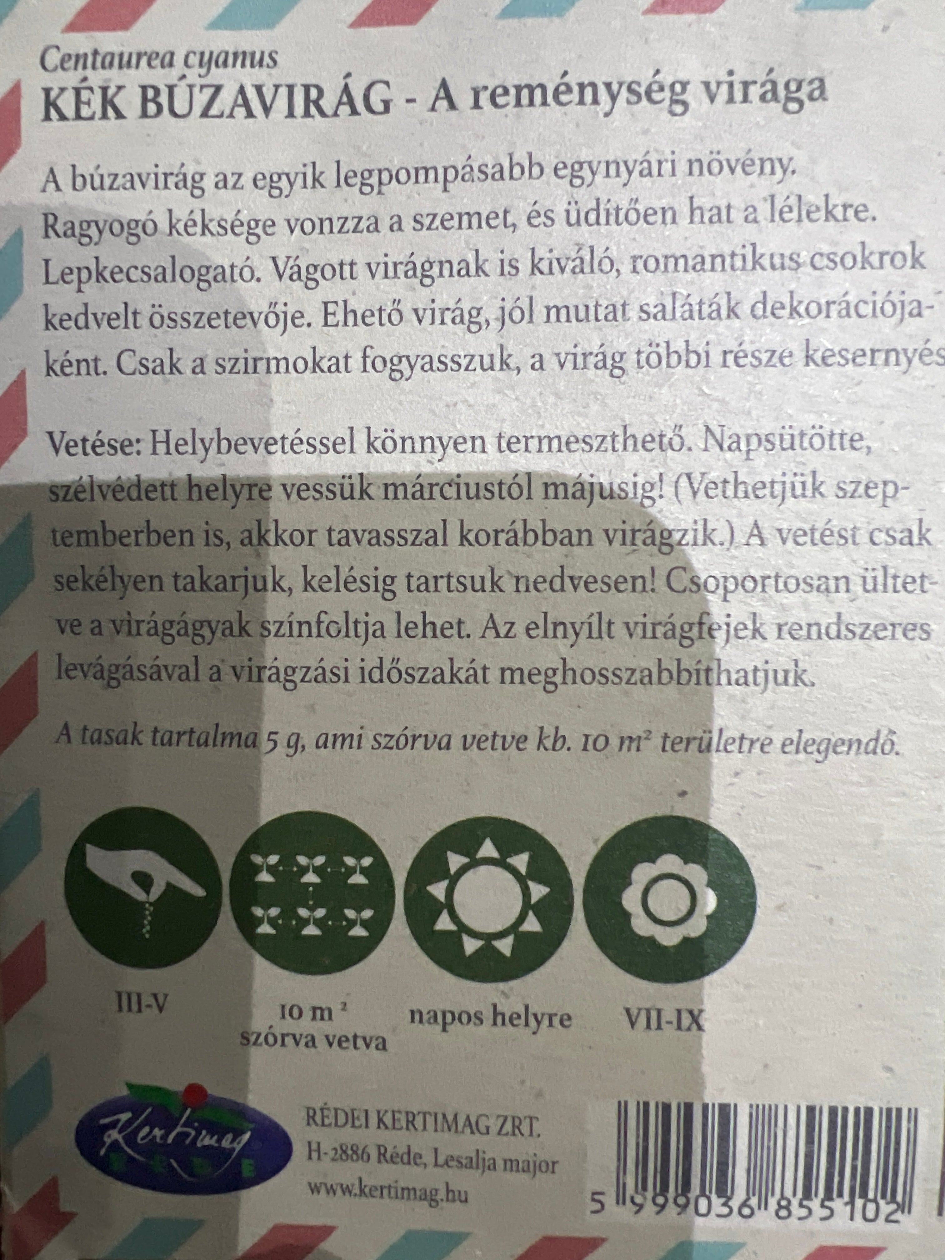 Búzavirág kék
