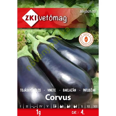 Corvus Padlizsán 1g
