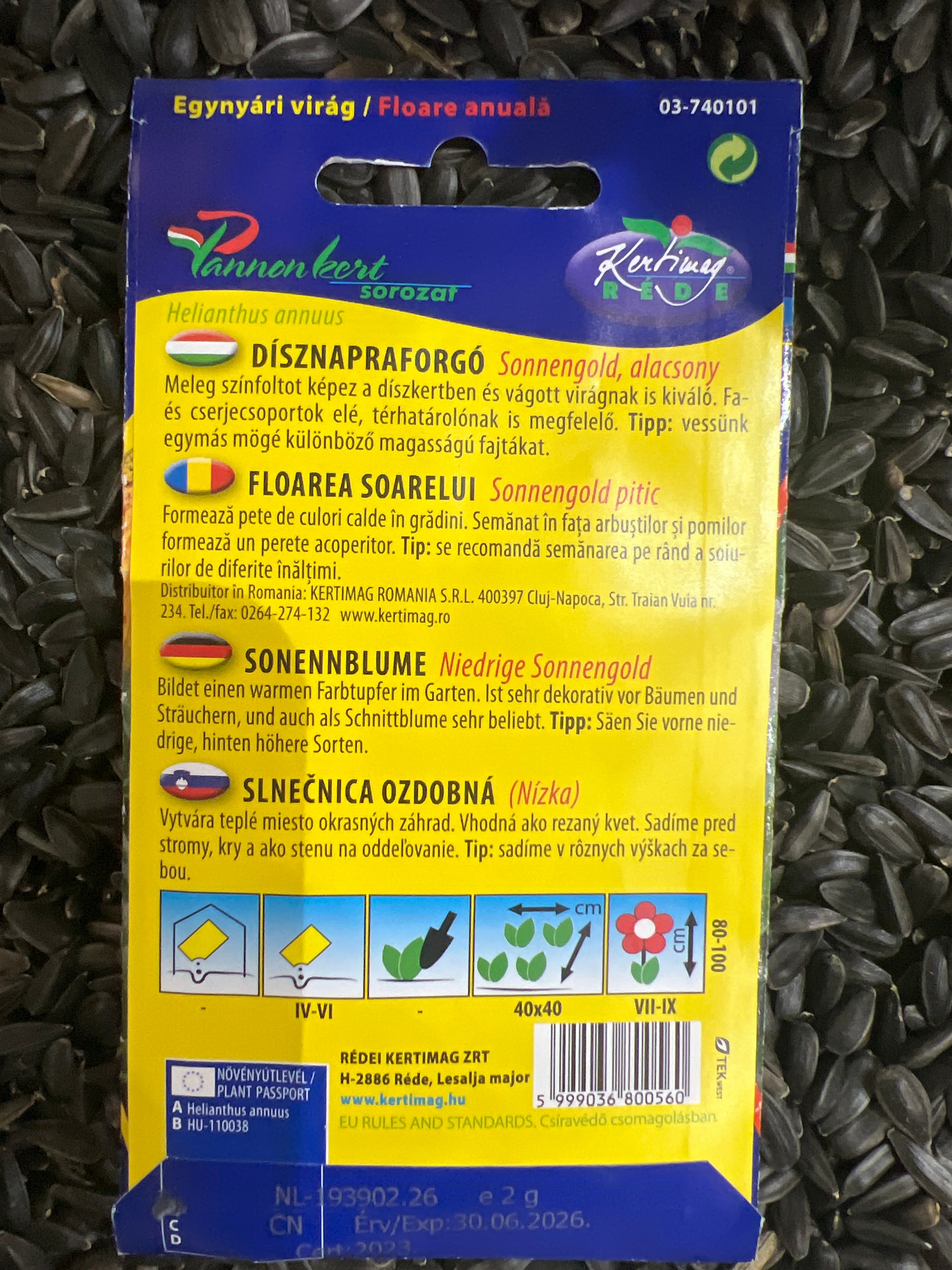 Dísznapraforgó alacsony