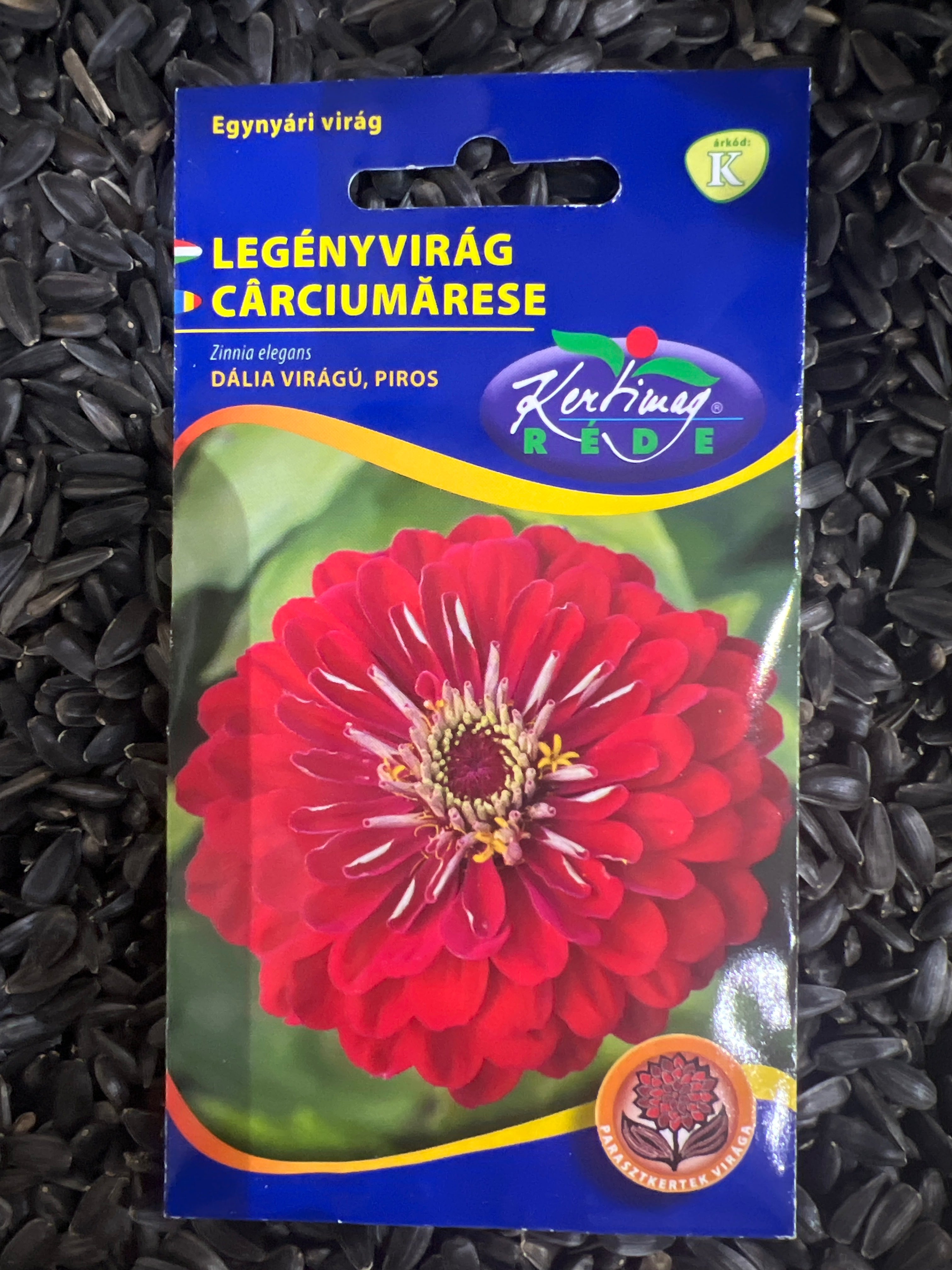 Legényvirág, Dália virágú, piros