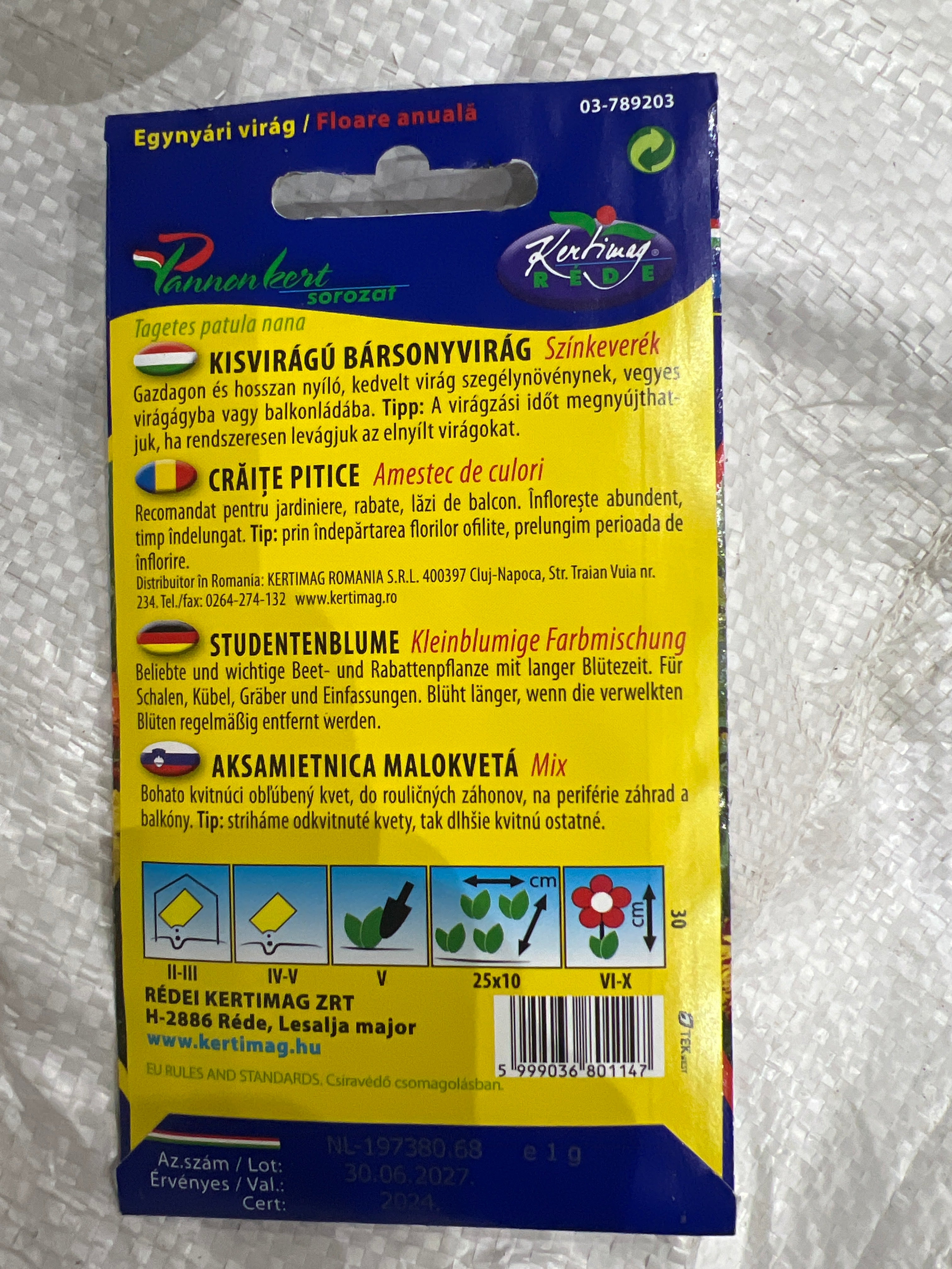 Bársonyvirág kisvirágú