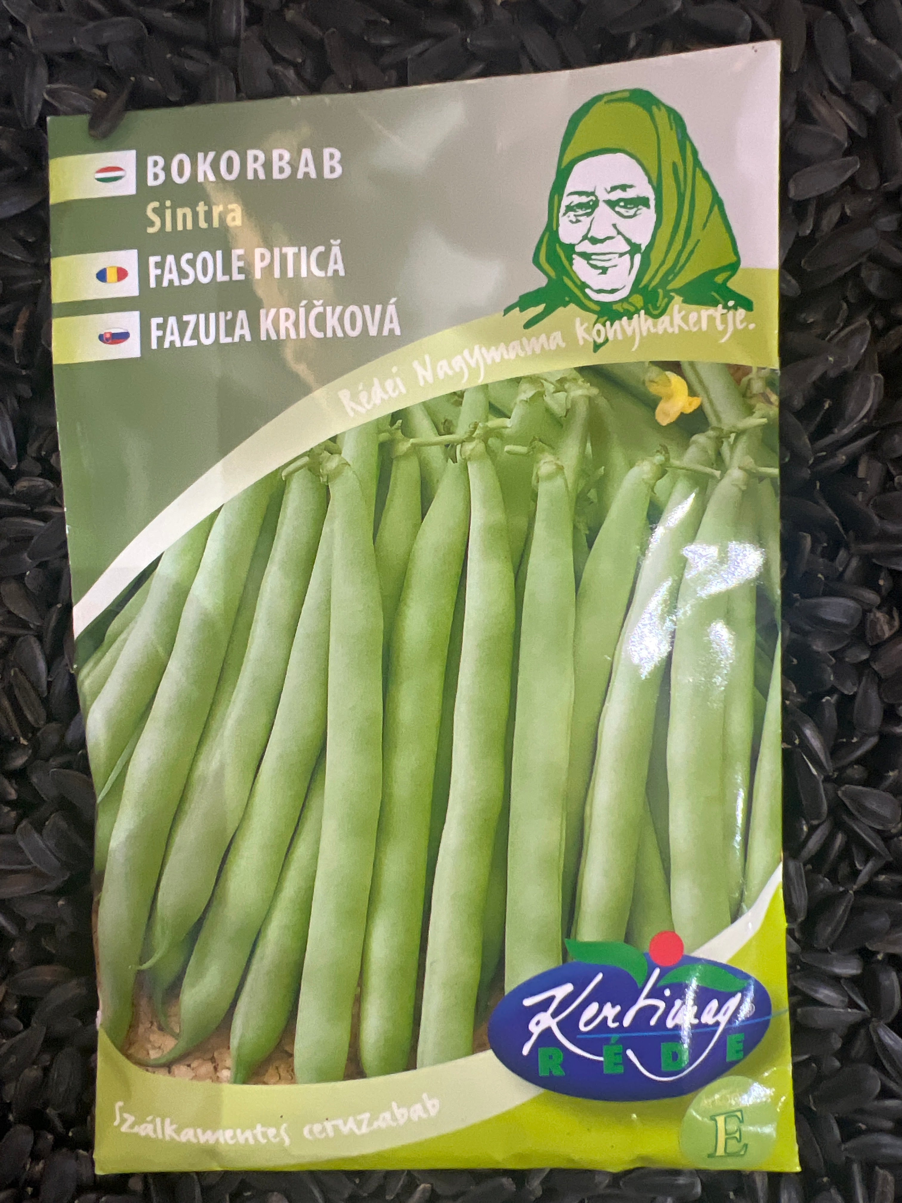 Bokorbab korai ceruzabab Sintra