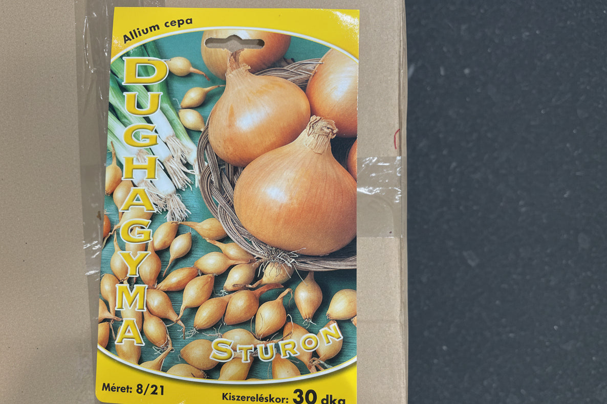 Dughagyma Sturon 30dkg
