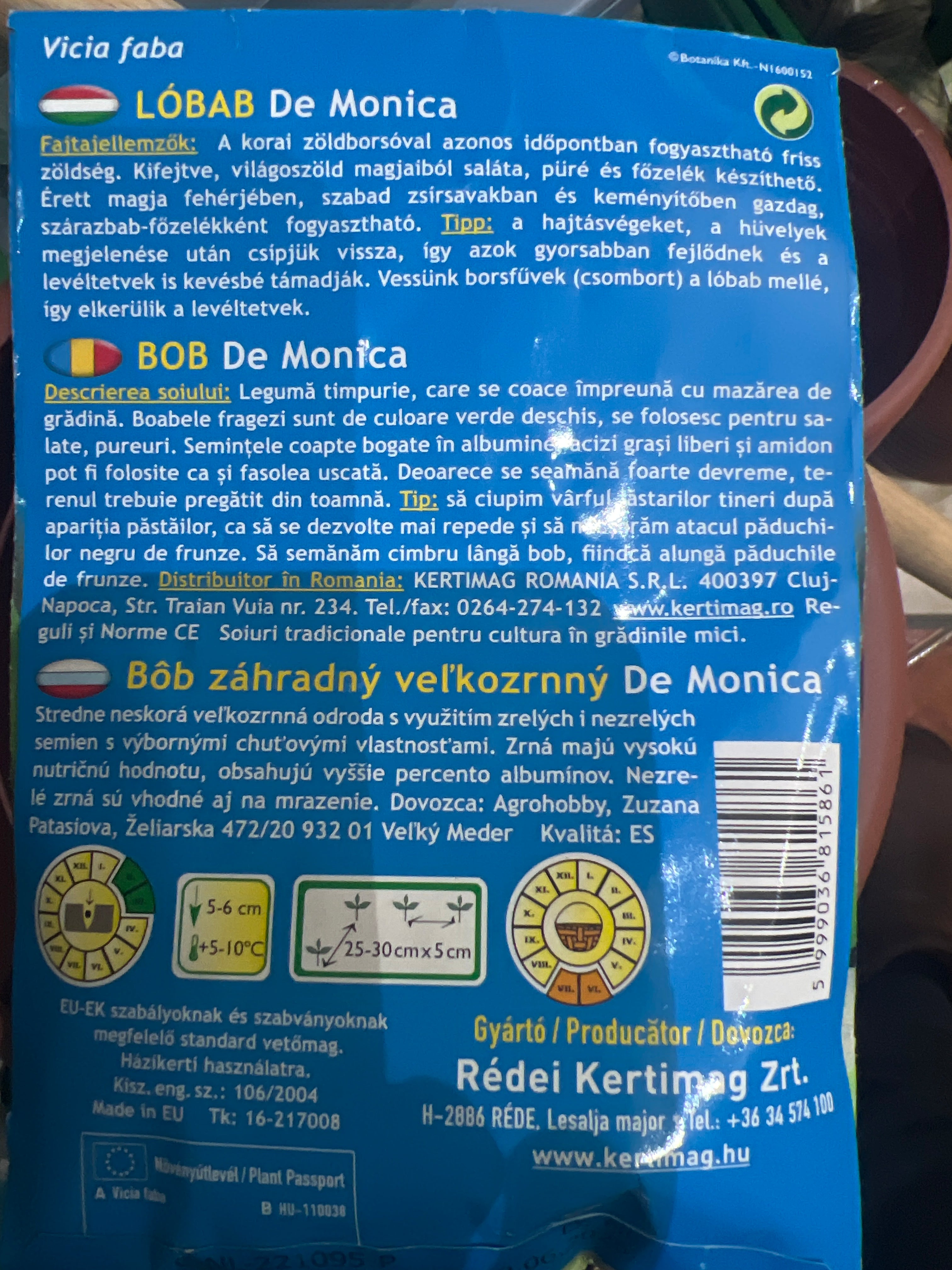 Nagyszemű lóbab De Monica, korai világos zöld