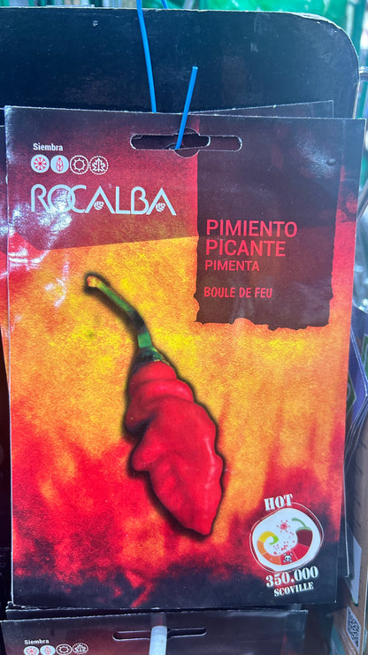 Chili paprika vetőmag Rocalba