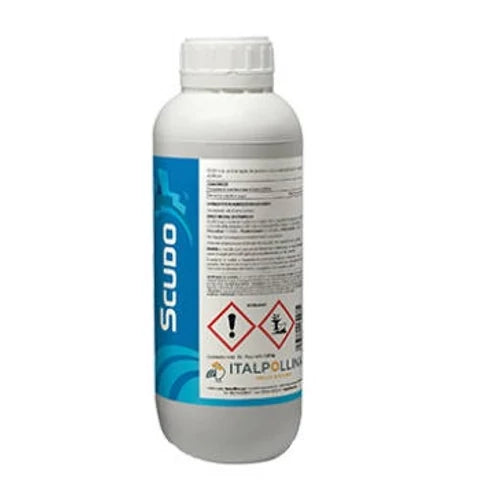 Scudo 1L